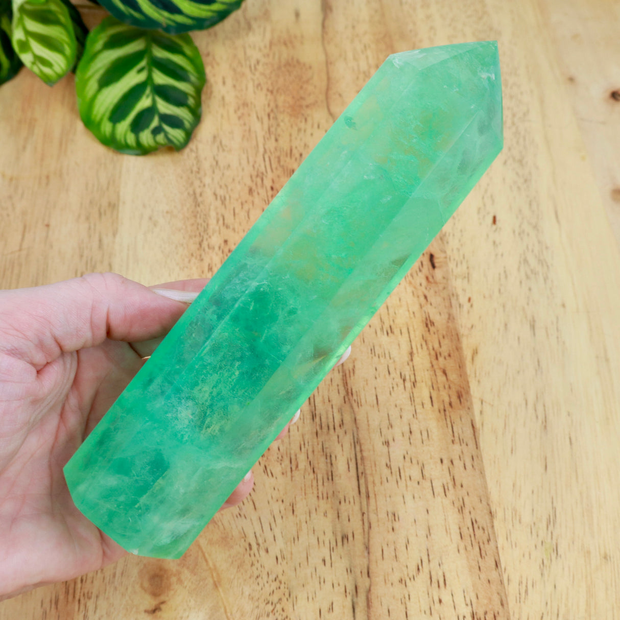 Green Fluorite Tower | 17cm | 565g | Clarity & Focus
