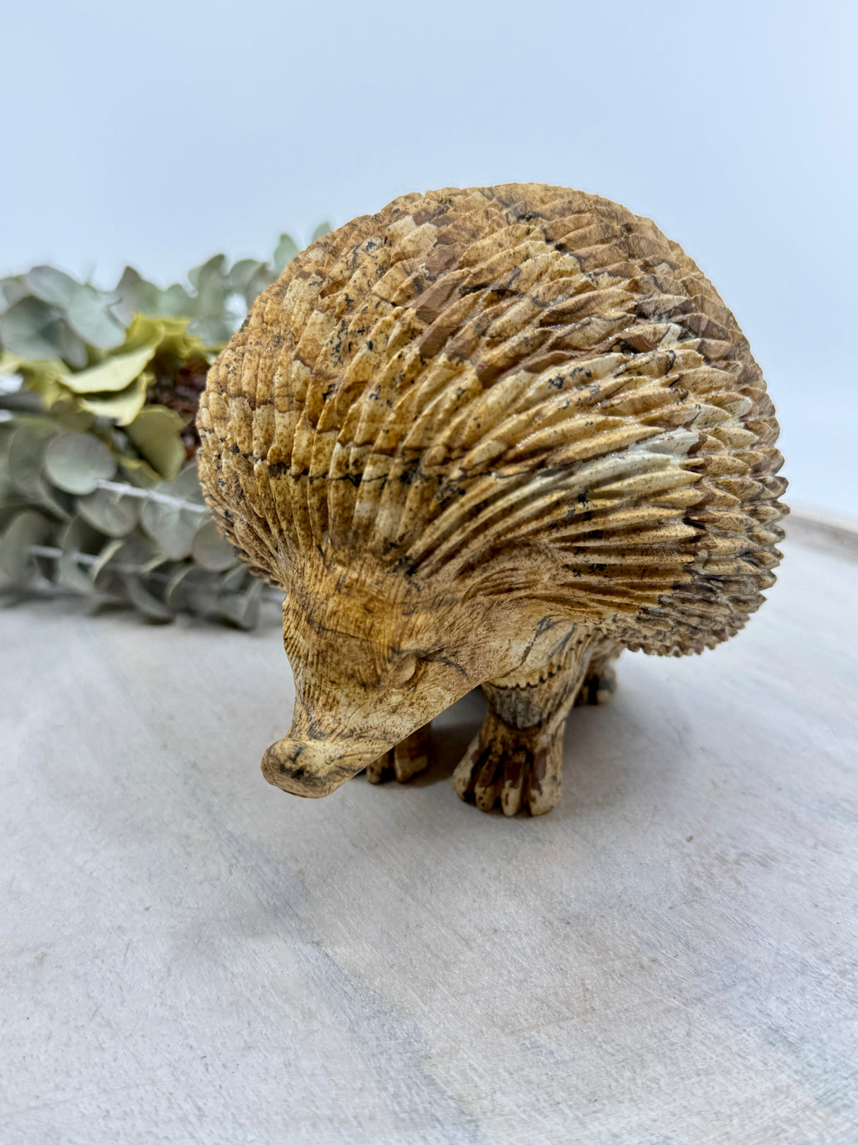 Picture Jasper Echidna Carving 2.254kg (15x13x11cm) – Stone of Earth Wisdom, Protection & Connection