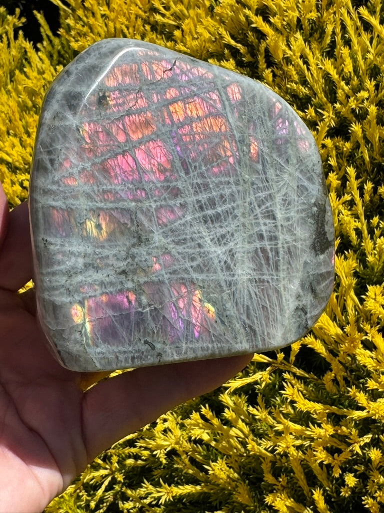 Labradorite Freeform Purple Flashes 757g - “ I welcome change and transformation into my life”.