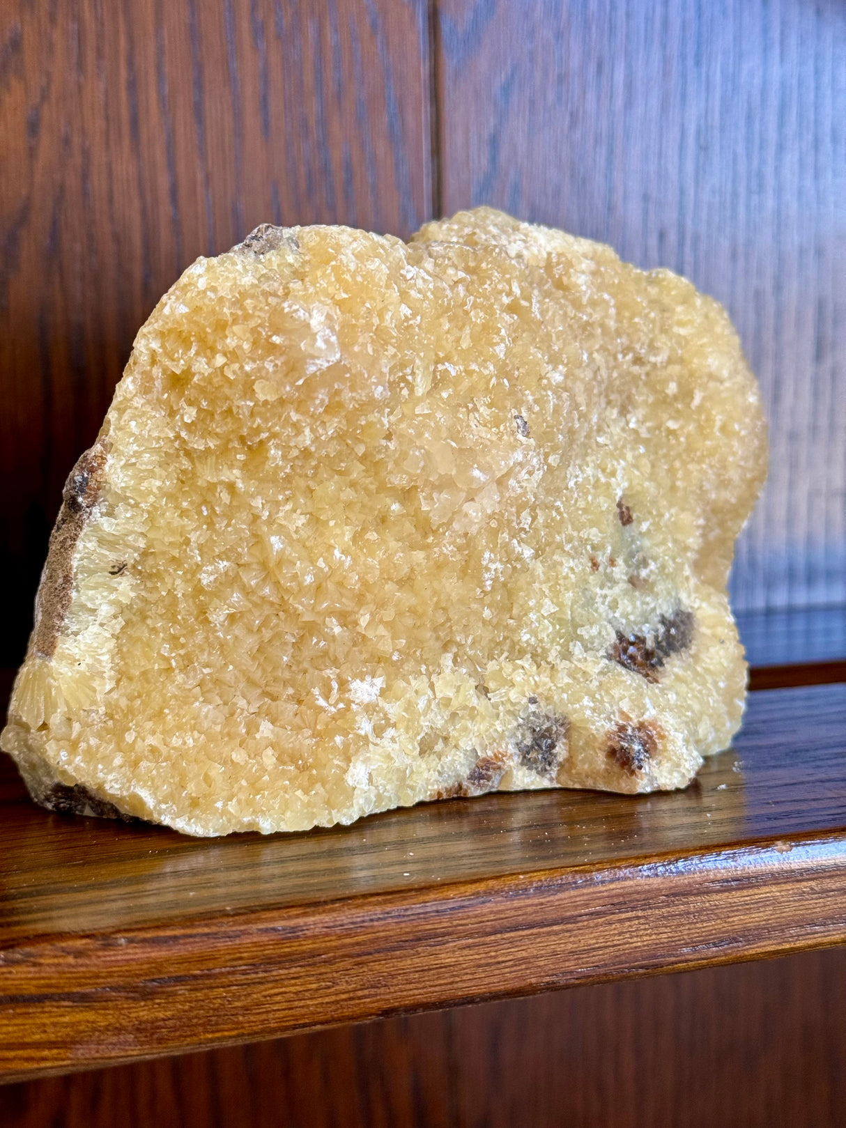 Septarian Nodule Rough 756g - Dragon Stone - Strength. Happiness.