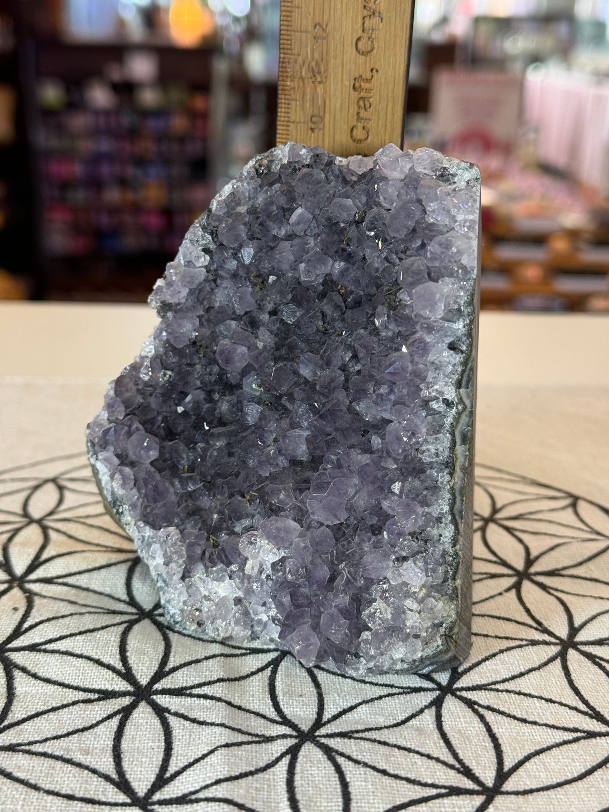 Amethyst Cluster 829g #36 - “I trust my intuition and allow it to guide me each day”