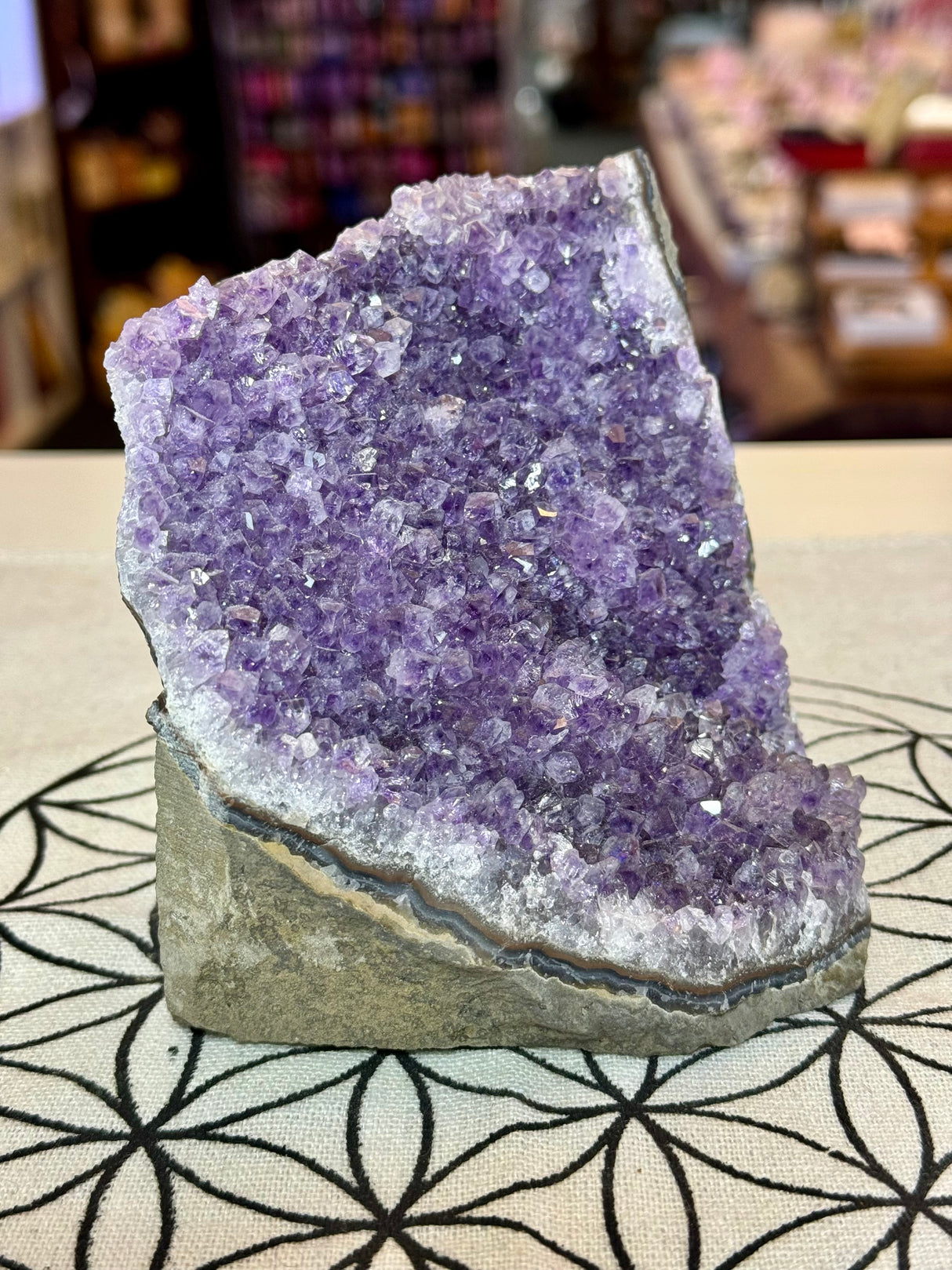 Amethyst Cluster 1065g #34 - “I trust my intuition and allow it to guide me each day”