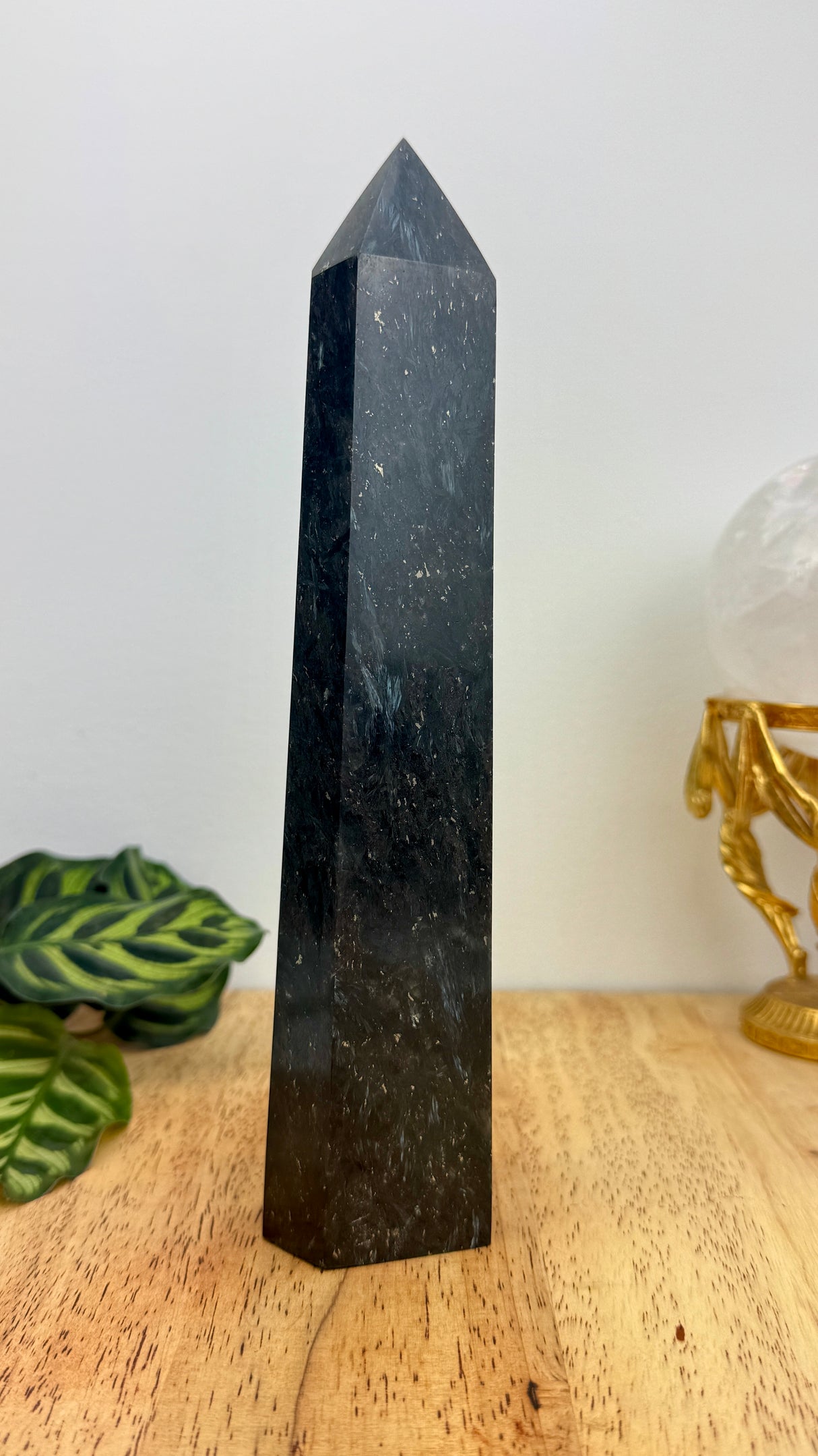 Arfvedsonite with Garnet Tower | 24cm | 935g | Grounded Manifestation