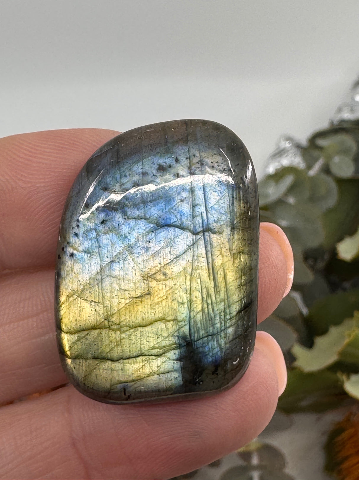 Labradorite Cabochon | Jewellery Making & Transformation Stone