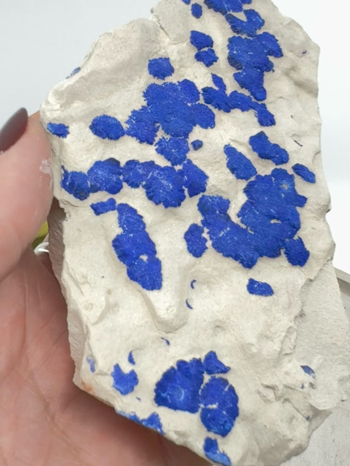 Azurite Sun – Rare Australian Mineral for Intuition & Transformation | Malbunka Copper Mine, NT