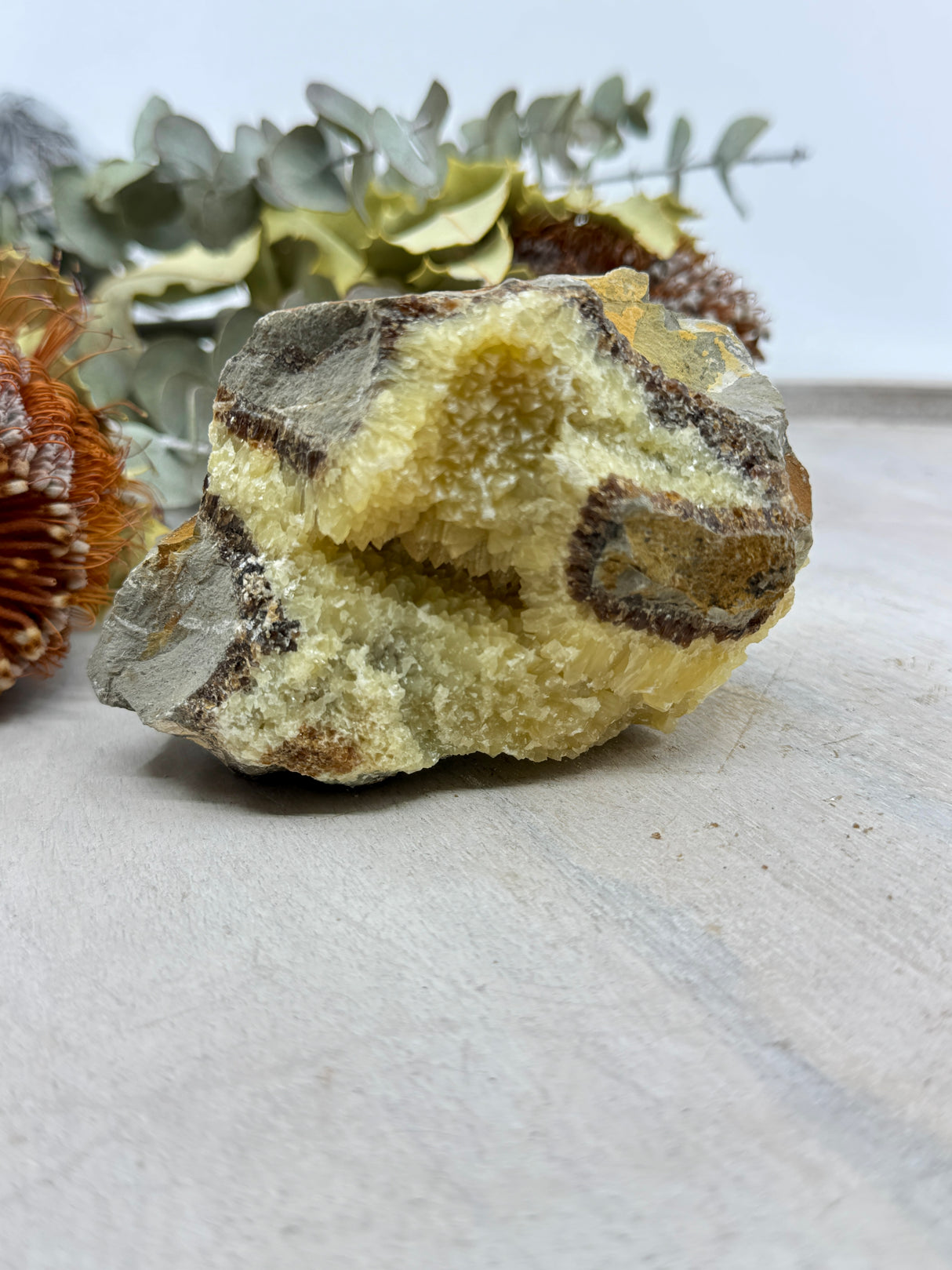 Septarian Jasper specimen 517g 11x7cm – golden brown and grey crystal for grounding, strength and protection – Inspired By 3 Crystals Australia.