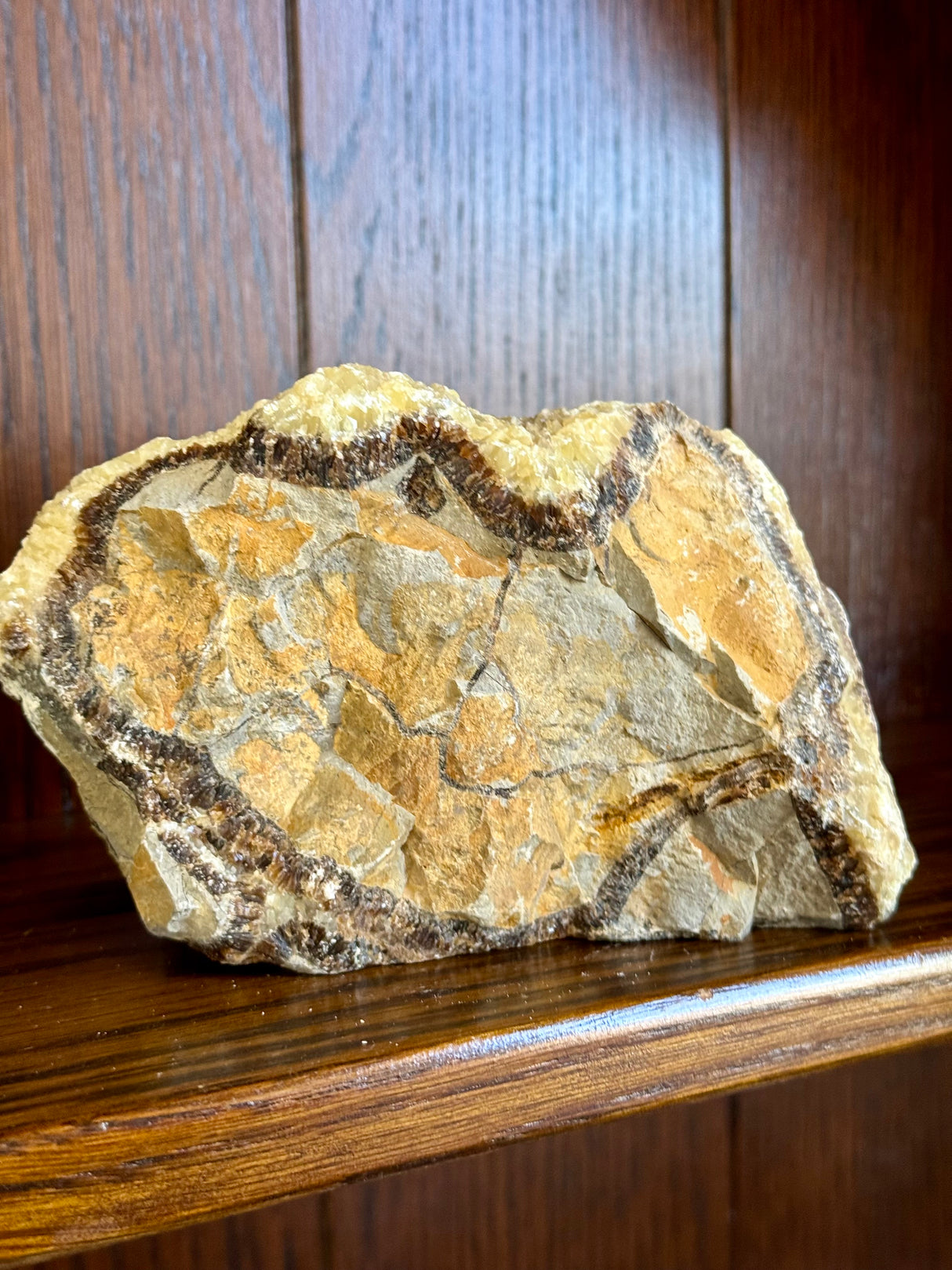 Septarian Nodule Rough 756g - Dragon Stone - Strength. Happiness.