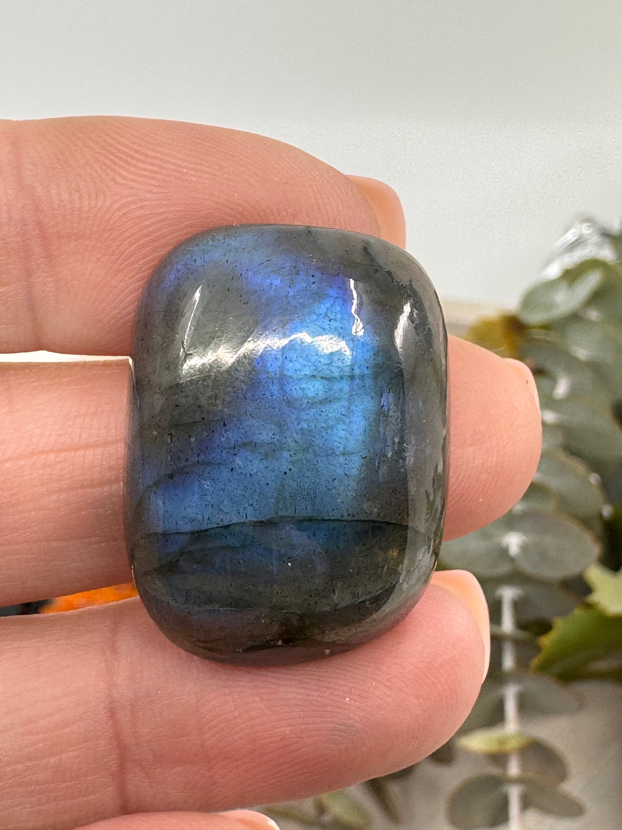 Labradorite Cabochon | Jewellery Making & Transformation Stone