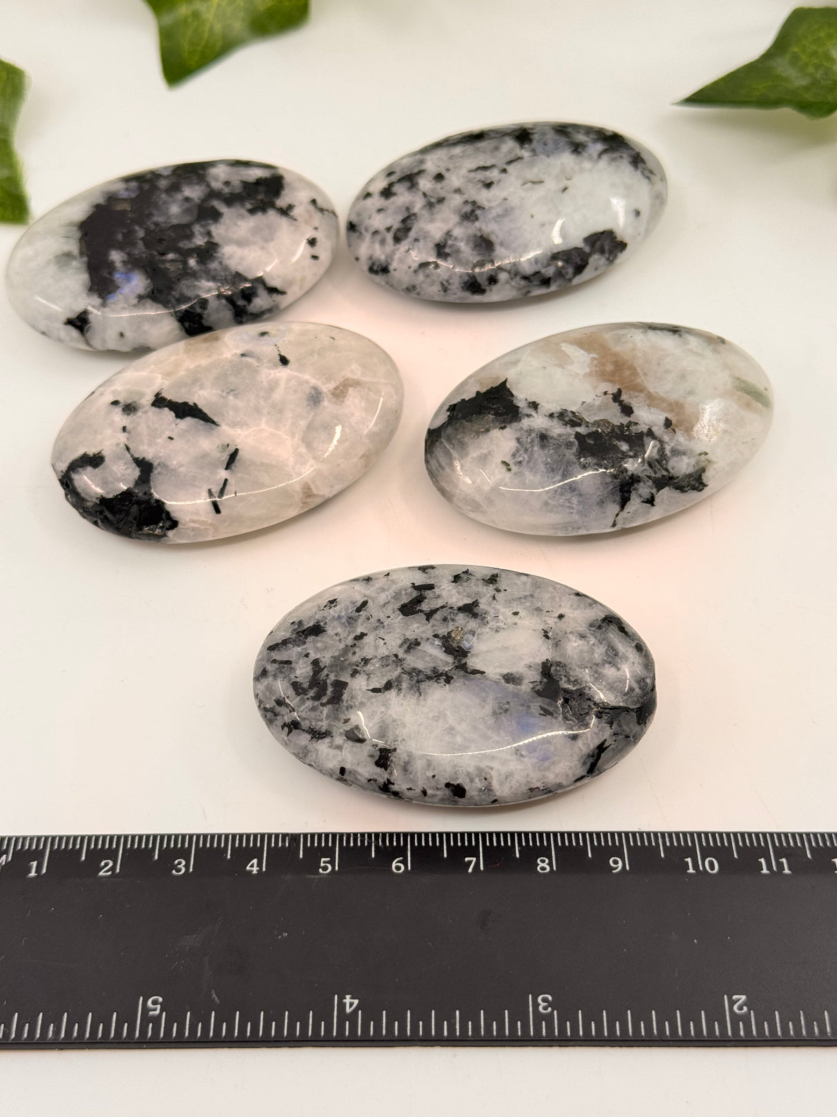 Rainbow Moonstone Palmstone - “My mind is open to new possibilities and opportunities”.