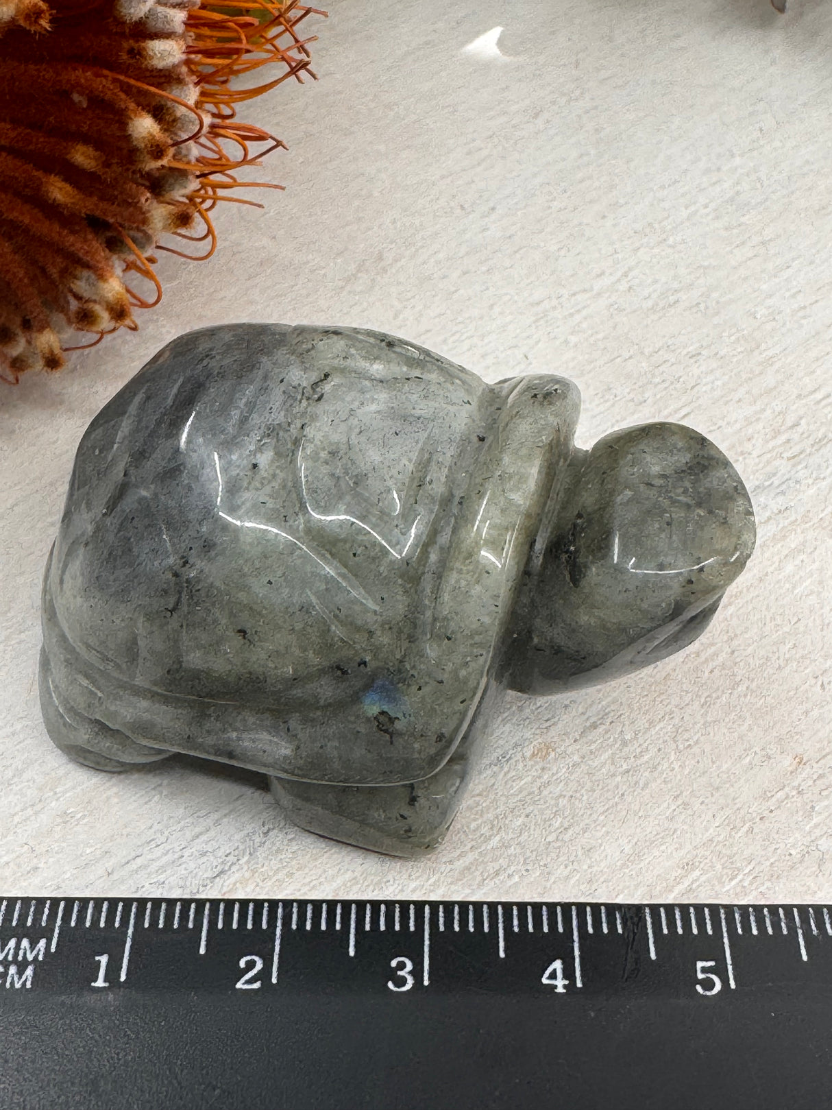 Labradorite Turtle Carving – Crystal of Magic & Transformation