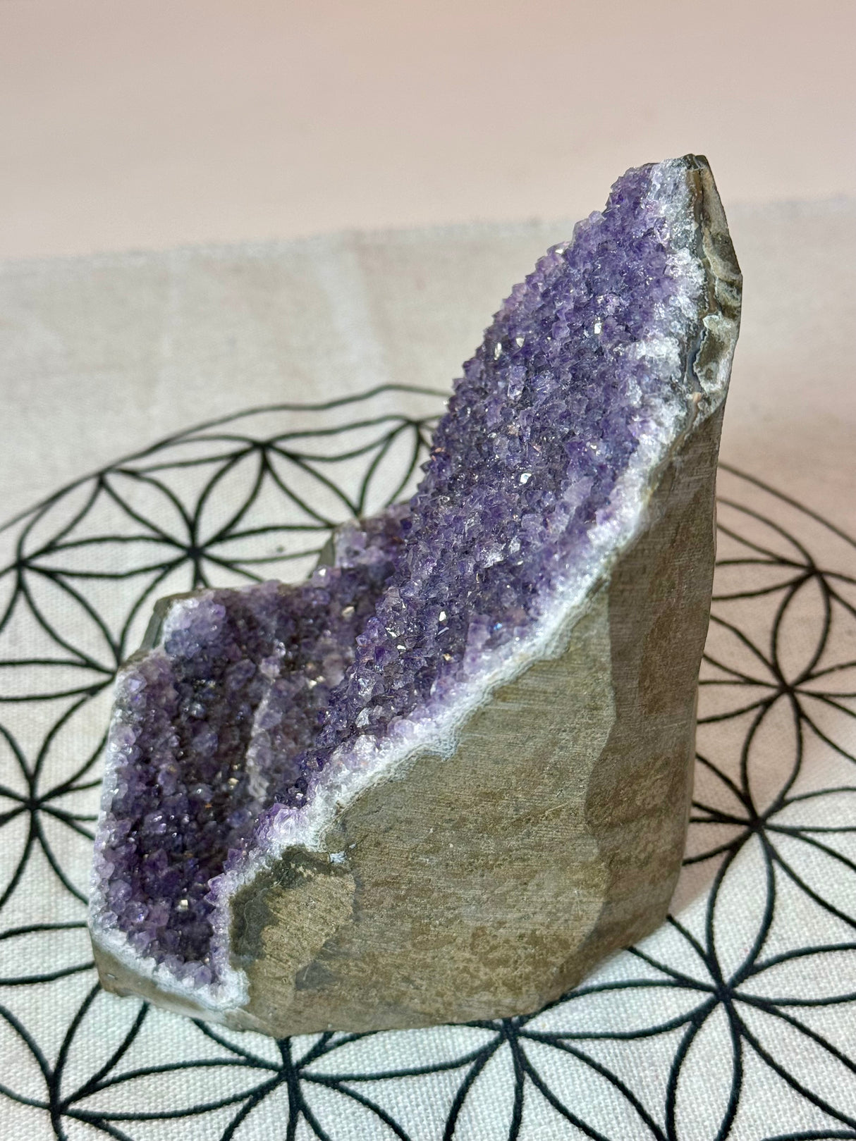 Amethyst Cluster 931g #31 - “I trust my intuition and allow it to guide me each day”