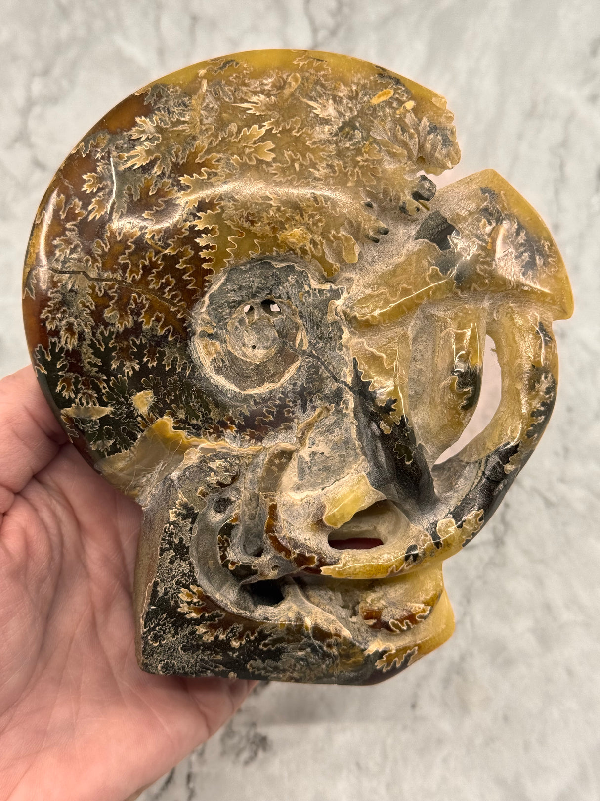 Ammonite Fossil 601g – Ancient Knowledge and Life Path Alignment