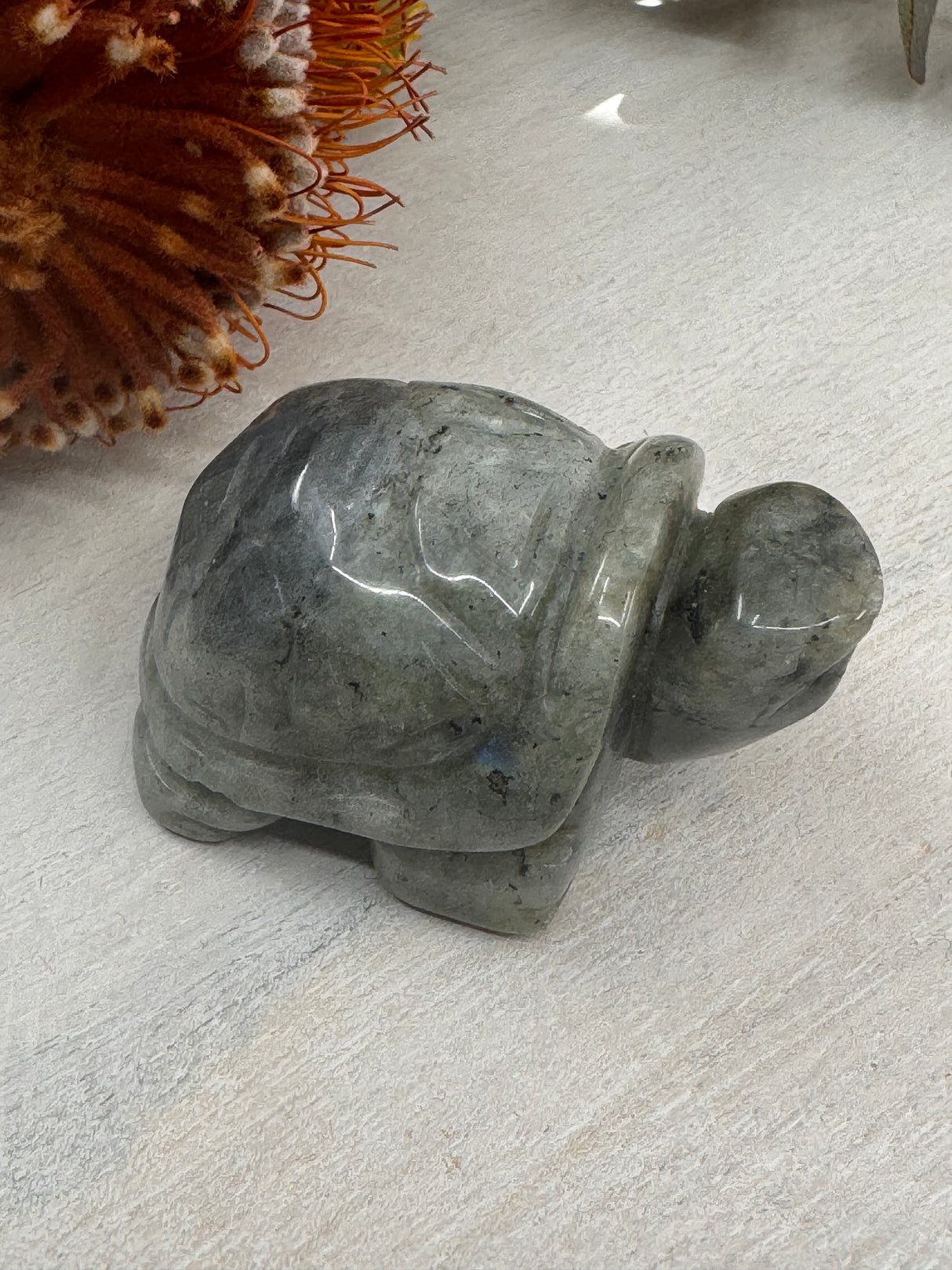 Labradorite Turtle Carving 5 cm × 3.5 cm – iridescent blue-green crystal turtle symbolising transformation, wisdom and protection, Inspired By 3 Australia.
