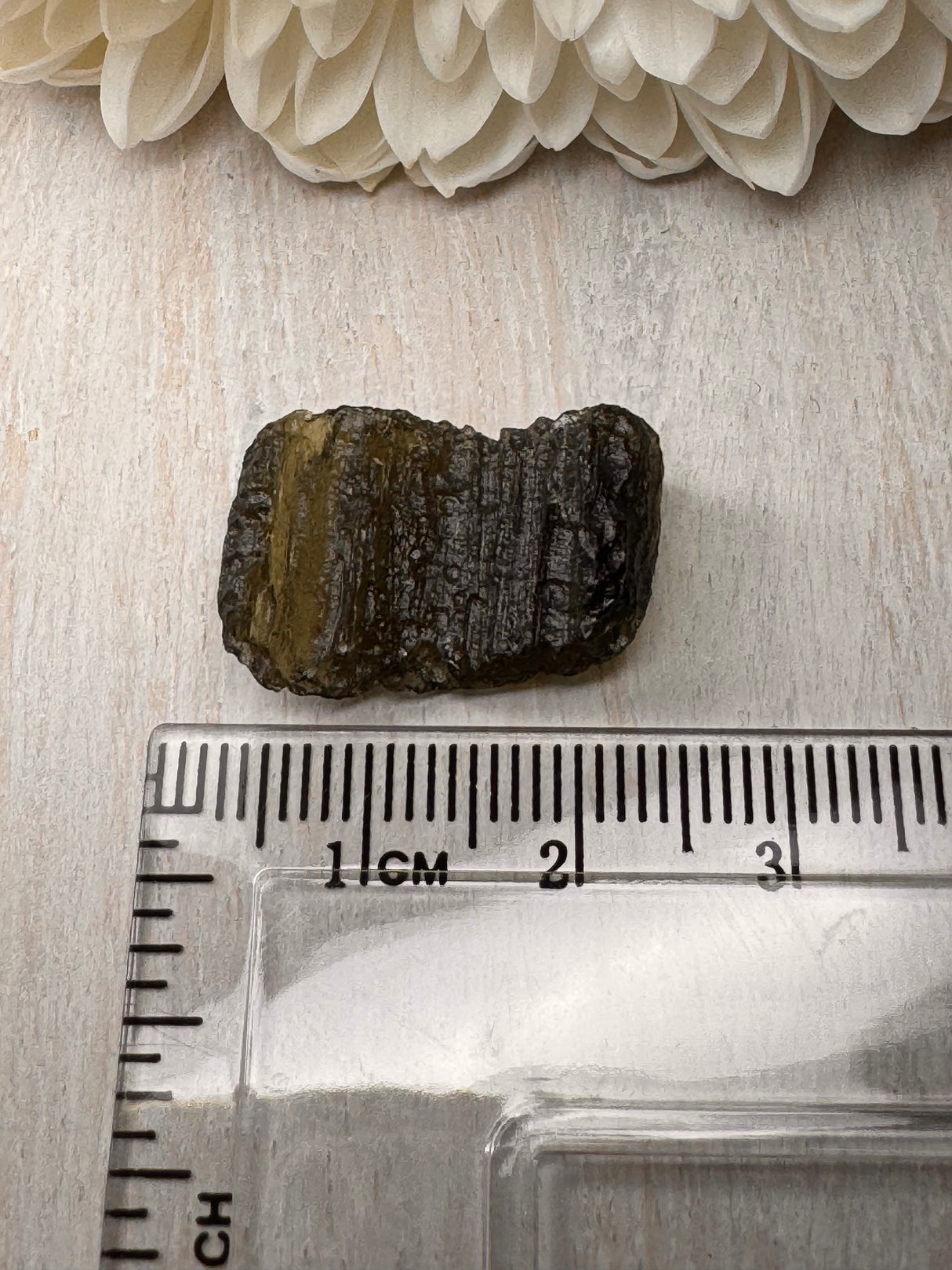 Moldavite Specimen #7 2.38g- Transformation & Protection