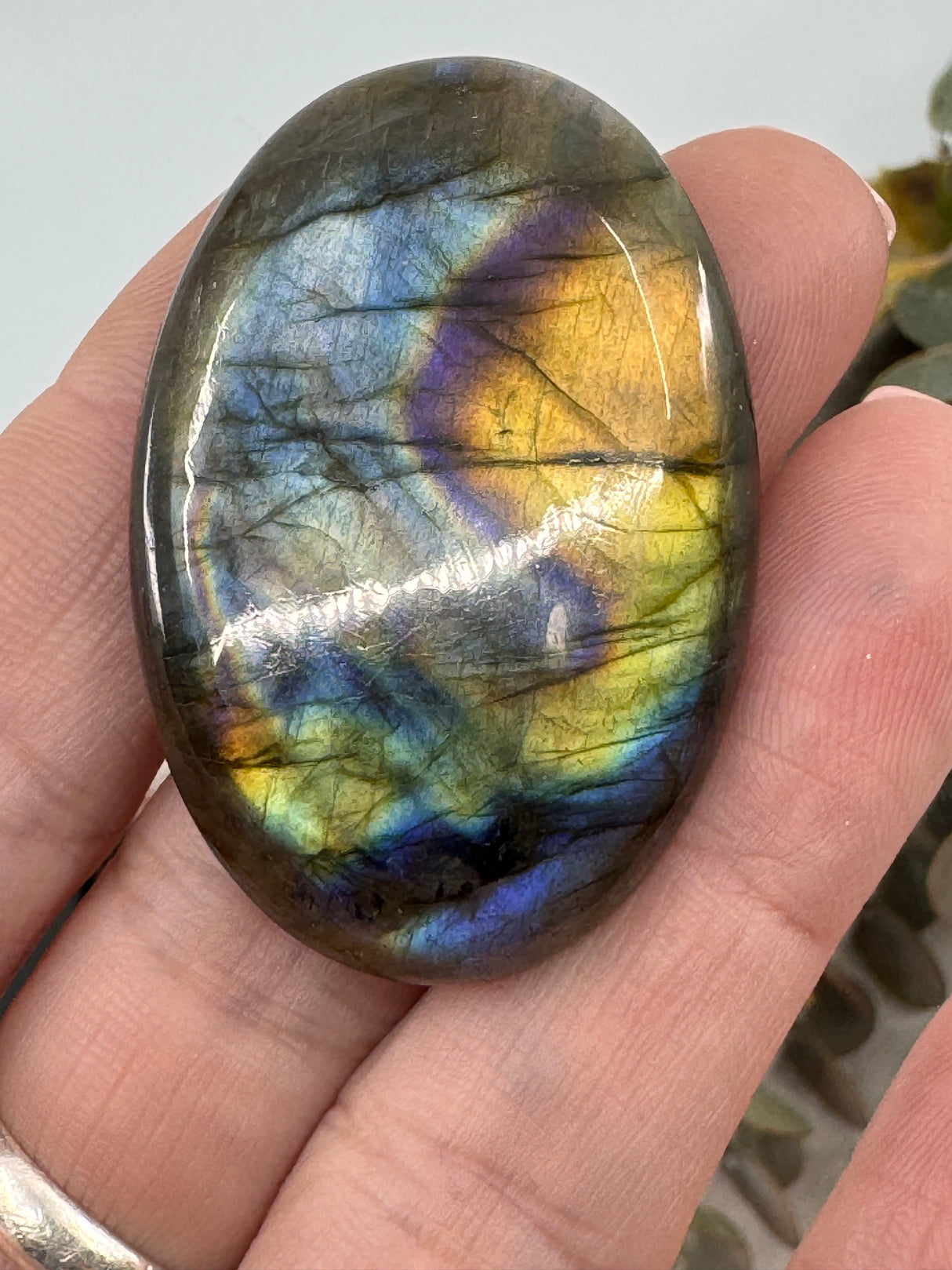 Labradorite Cabochon | Jewellery Making & Transformation Stone