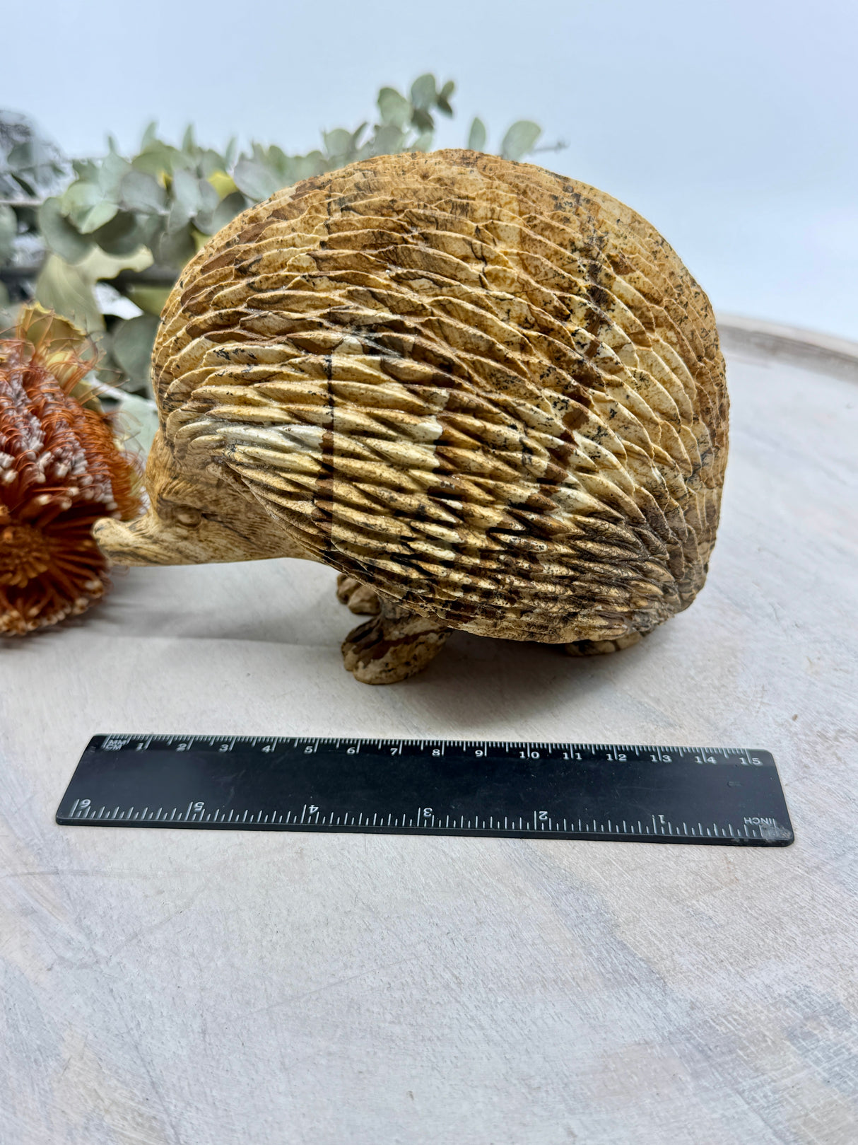 Picture Jasper Echidna Carving 2.254kg (15x13x11cm) – Stone of Earth Wisdom, Protection & Connection