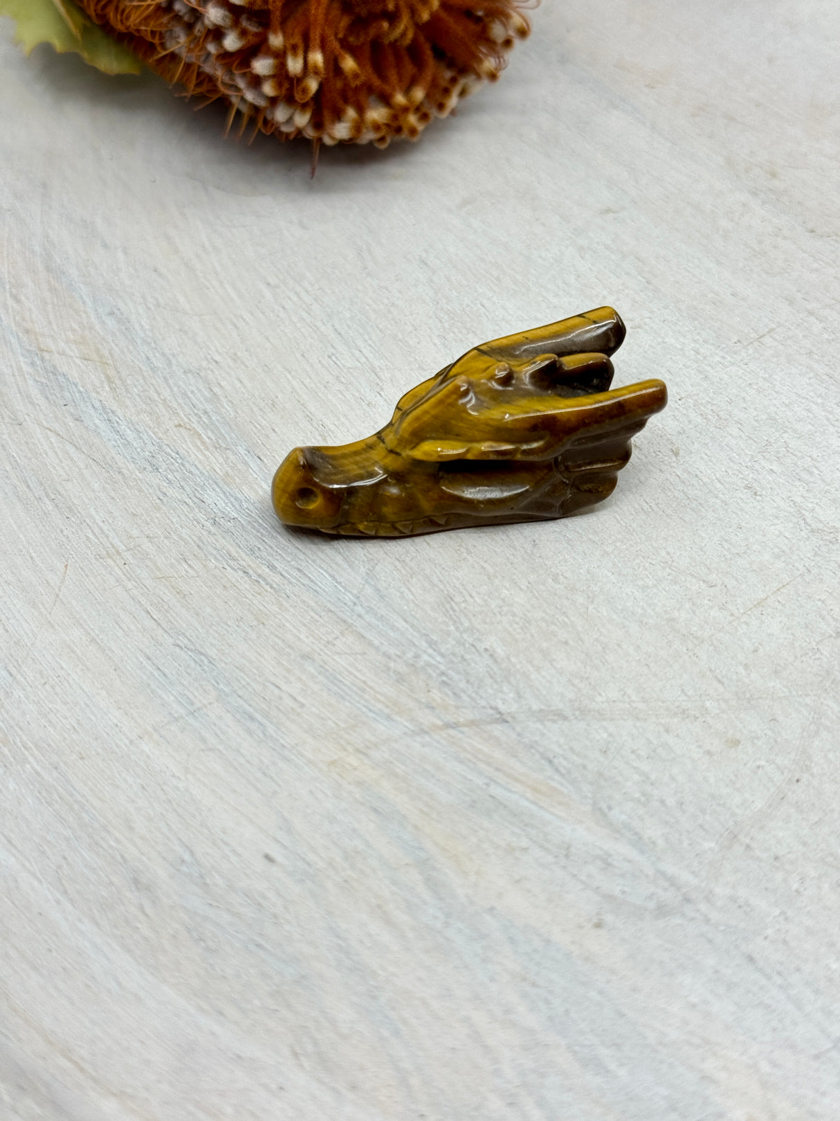 Tiger Eye dragon head carving 45x20x20mm – golden brown crystal carving for courage, strength and protection – Inspired By 3 Crystals Australia.