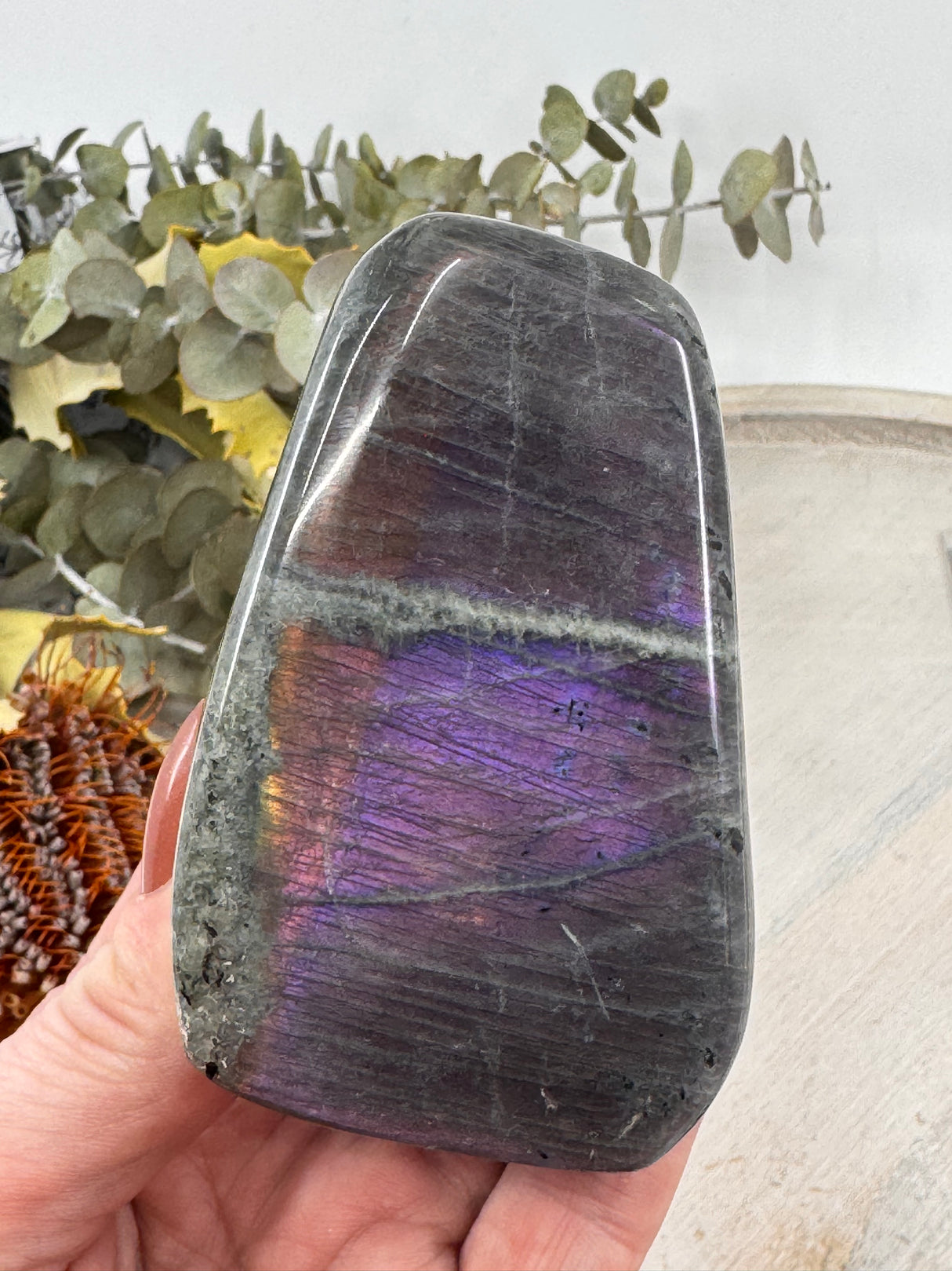 Flashy Labradorite Freeform – 291g Crystal of Transformation & Magic