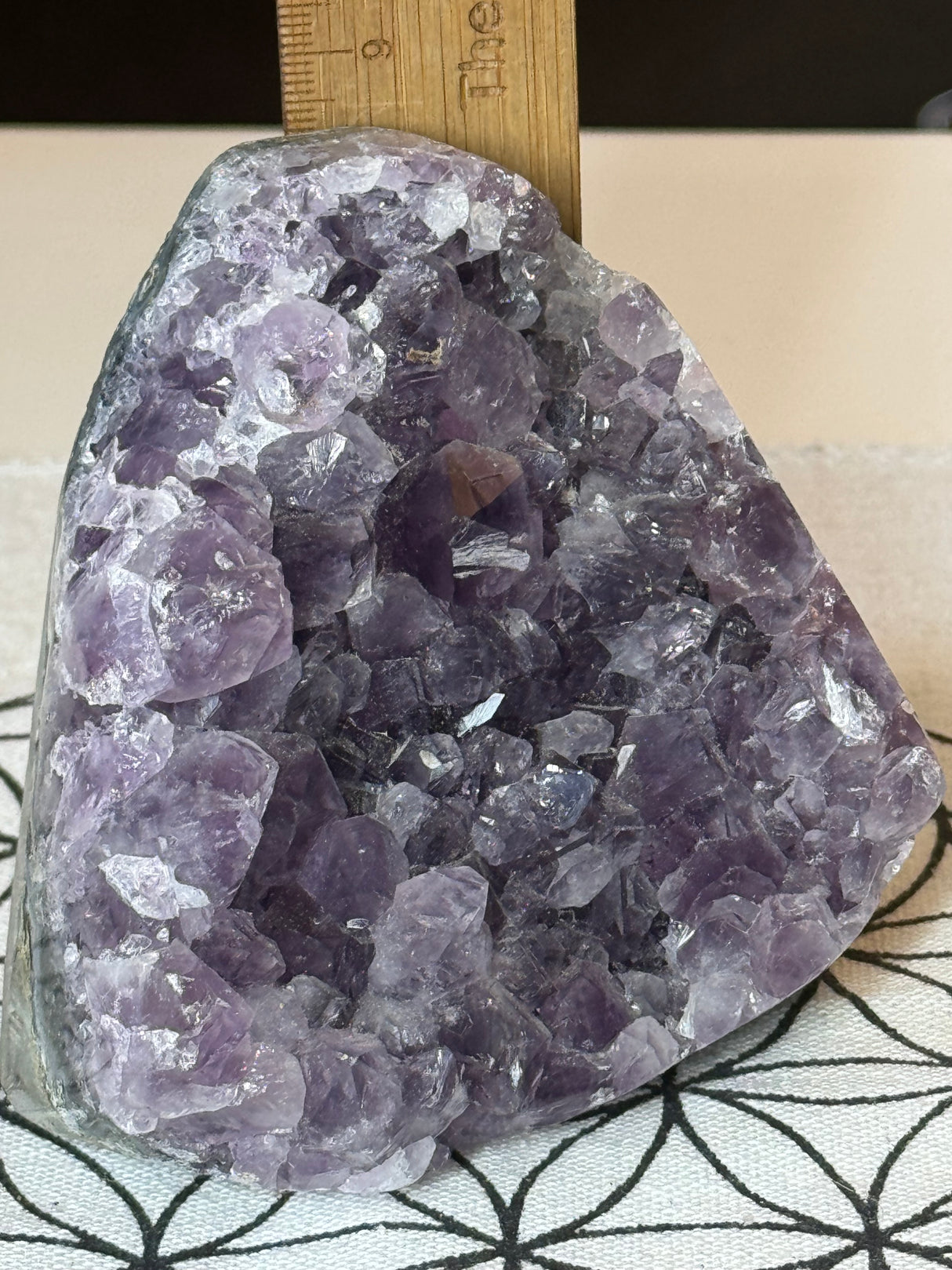 Amethyst Cluster 720g #42 - “I trust my intuition and allow it to guide me each day”