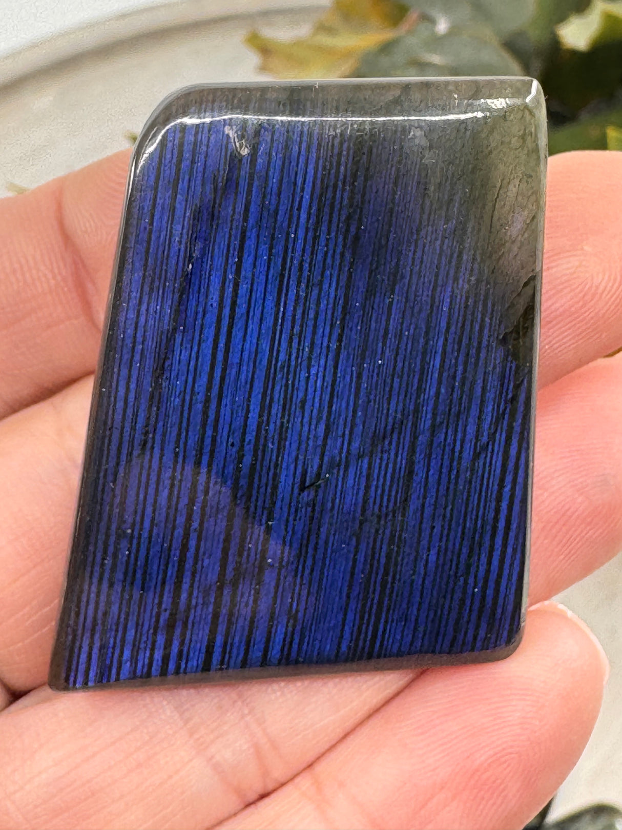 Labradorite Cabochon | Jewellery Making & Transformation Stone