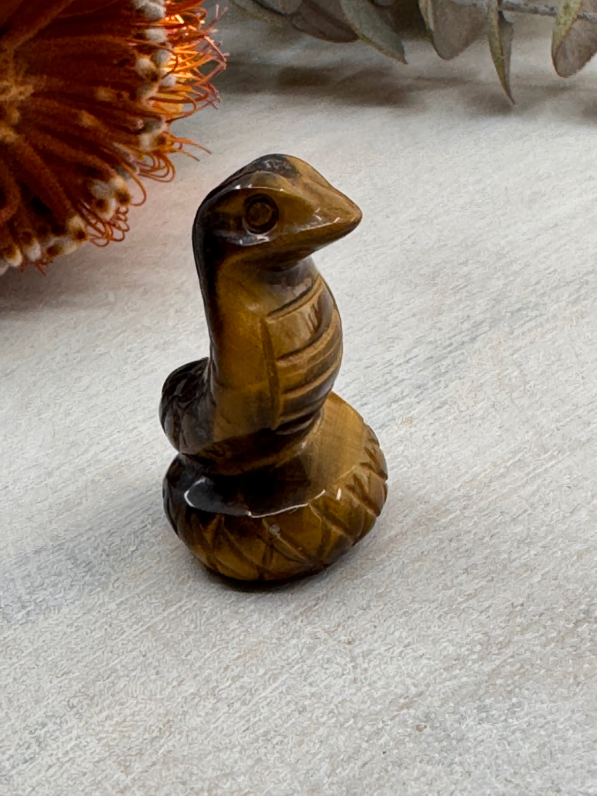 Tiger Eye Snake Carving 4 cm × 3 cm – golden-brown crystal snake symbolising courage, wisdom and protection, Inspired By 3 Australia.