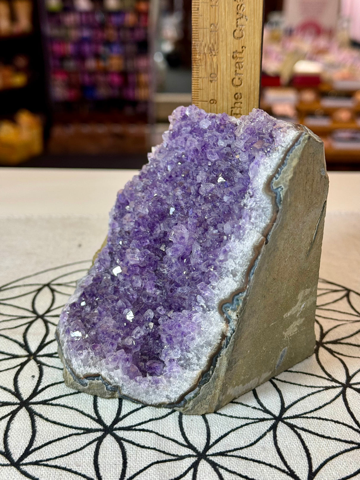 Amethyst Cluster 1065g #34 - “I trust my intuition and allow it to guide me each day”