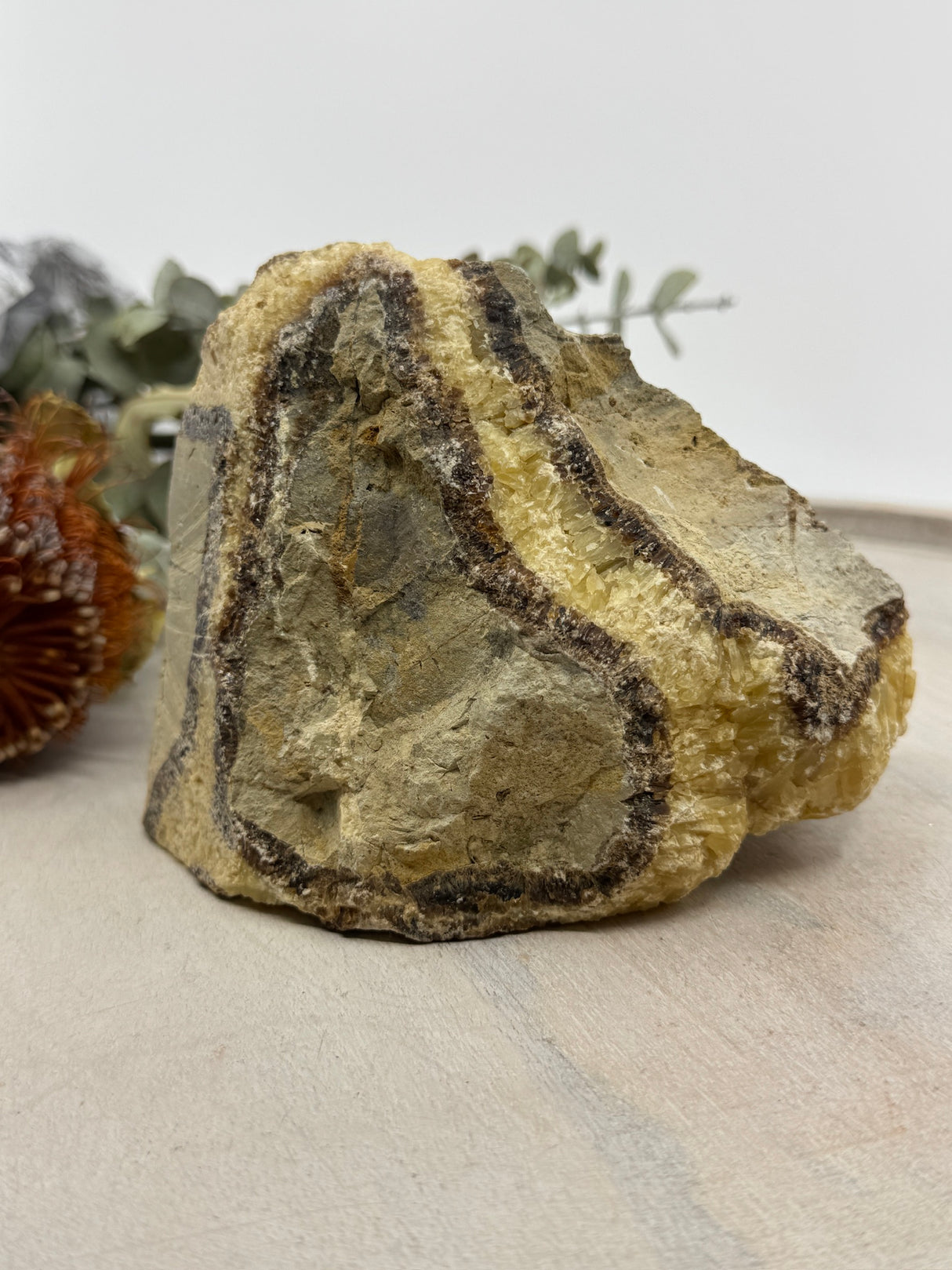 Septarian Jasper Specimen 1.125kg (15x10cm) – Stone of Strength, Protection & Ancient Wisdom