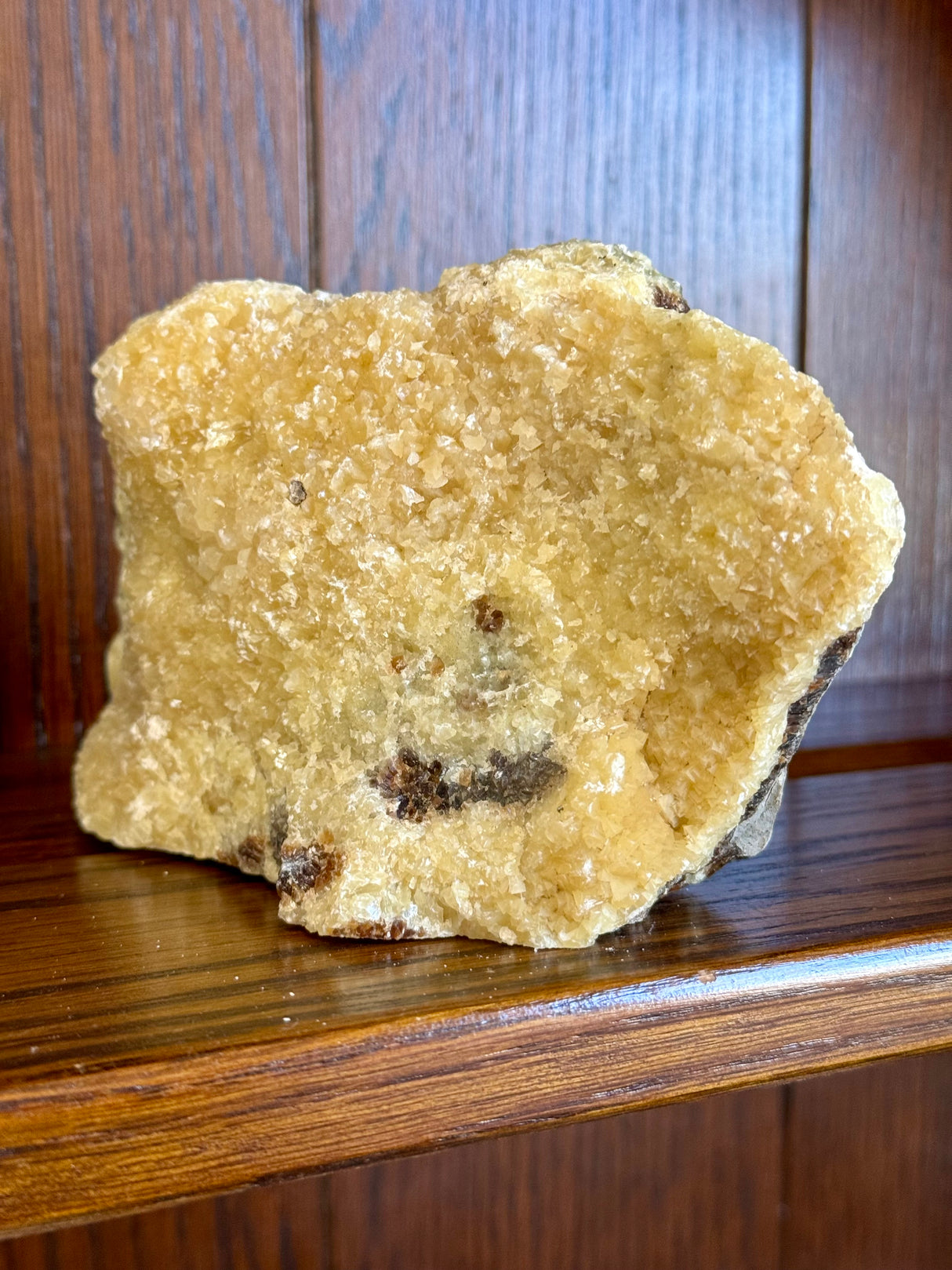 Septarian Nodule Rough 756g - Dragon Stone - Strength. Happiness.