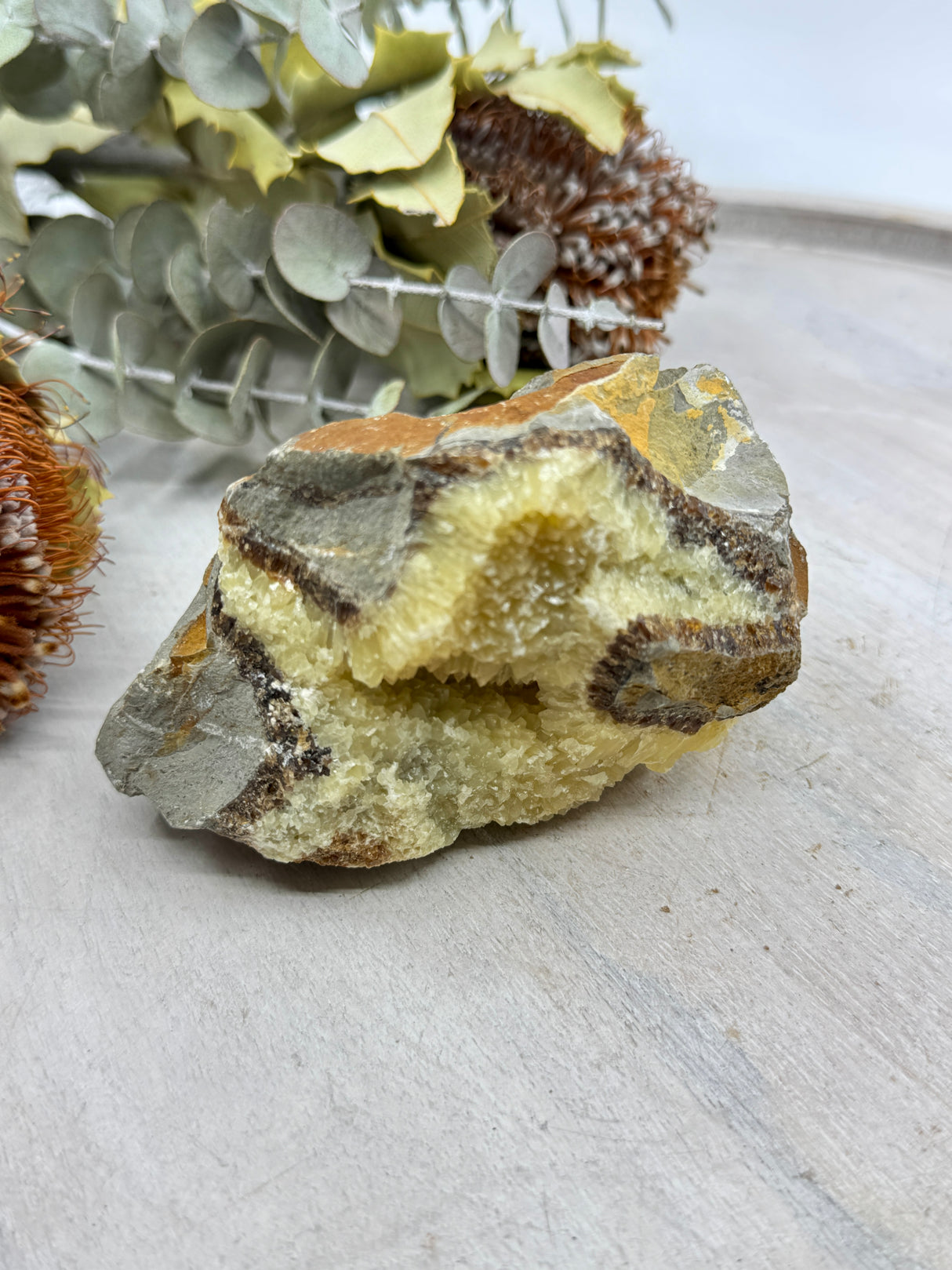 Septarian Jasper Specimen 517g (11x7cm) – Stone of Grounding, Protection & Ancient Wisdom