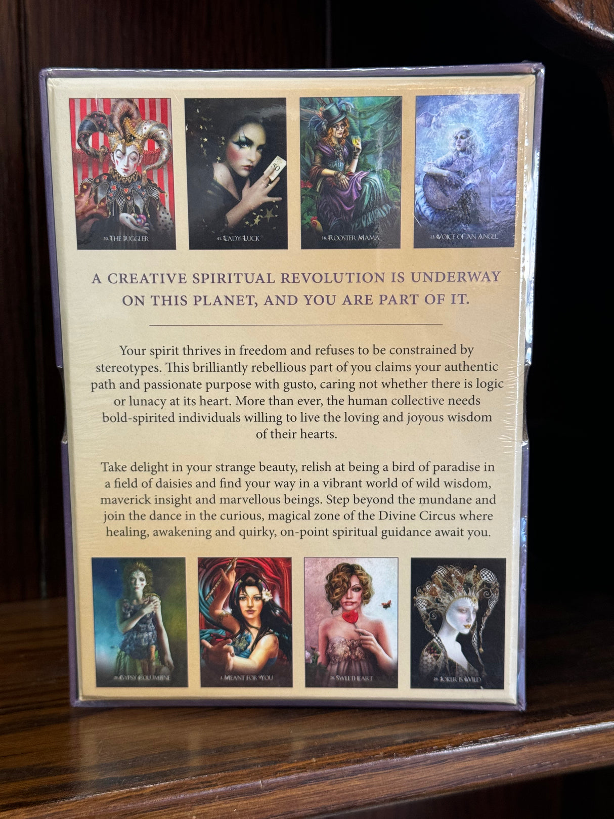 Divine Circus Oracle Guidance for a Life of Sacred Subversion & Creative Confidence Alana Fairchild 2016