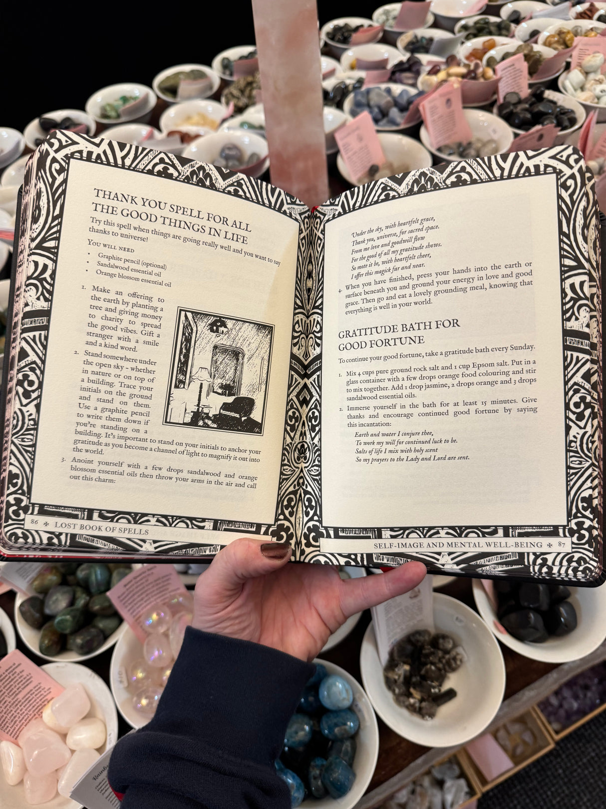 Lost Book of Spells - Fiona Horne