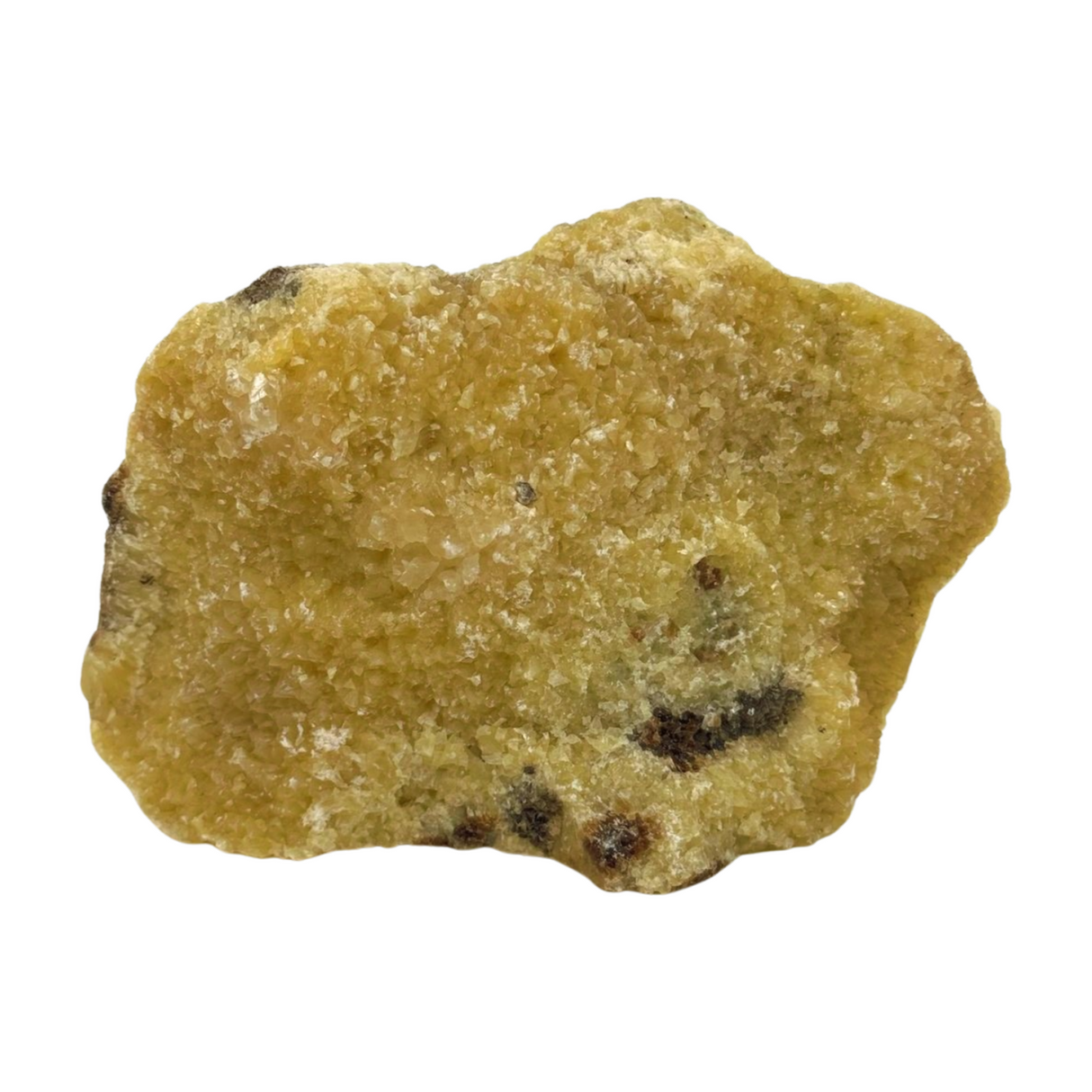 Septarian Nodule Rough 756g - Dragon Stone - Strength. Happiness.