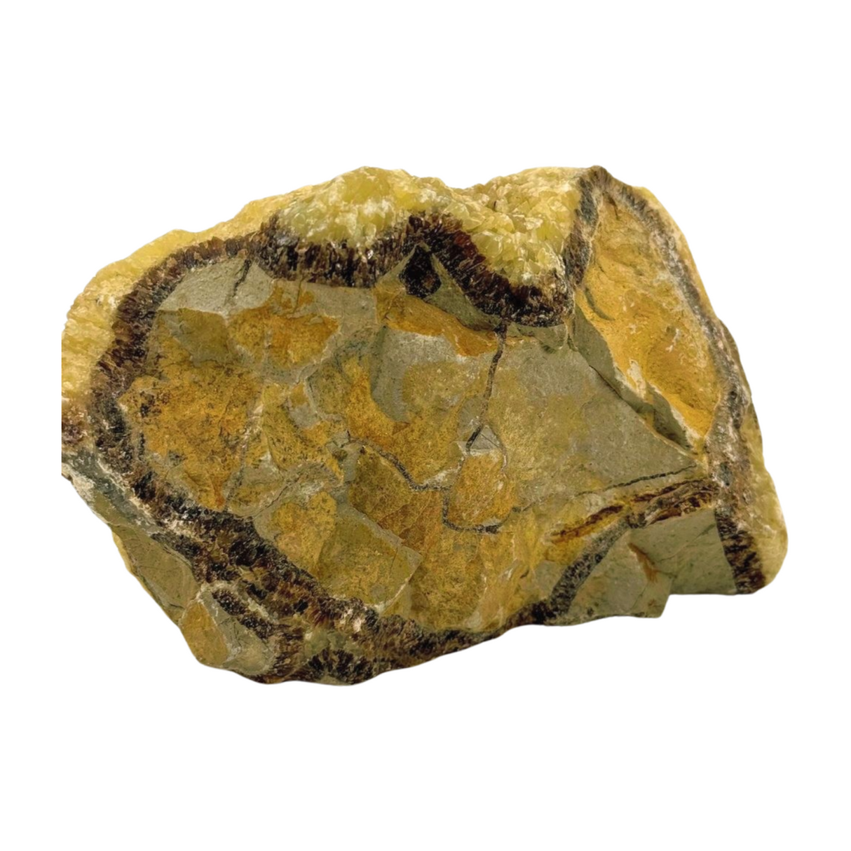 Septarian Nodule Rough 756g - Dragon Stone - Strength. Happiness.