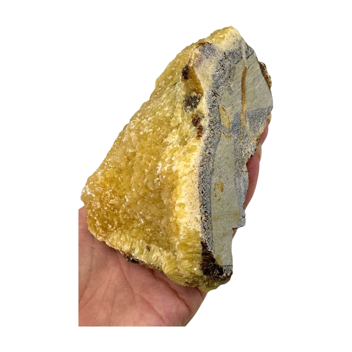 Septarian Nodule Rough 756g - Dragon Stone - Strength. Happiness.