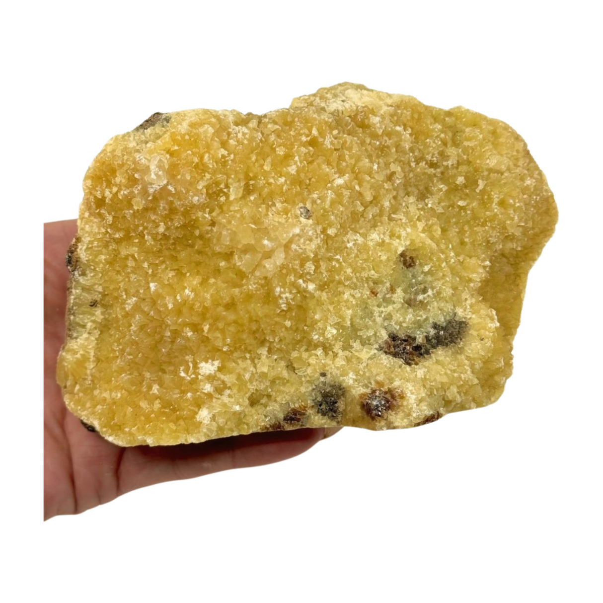 Septarian Nodule Rough 756g - Dragon Stone - Strength. Happiness.