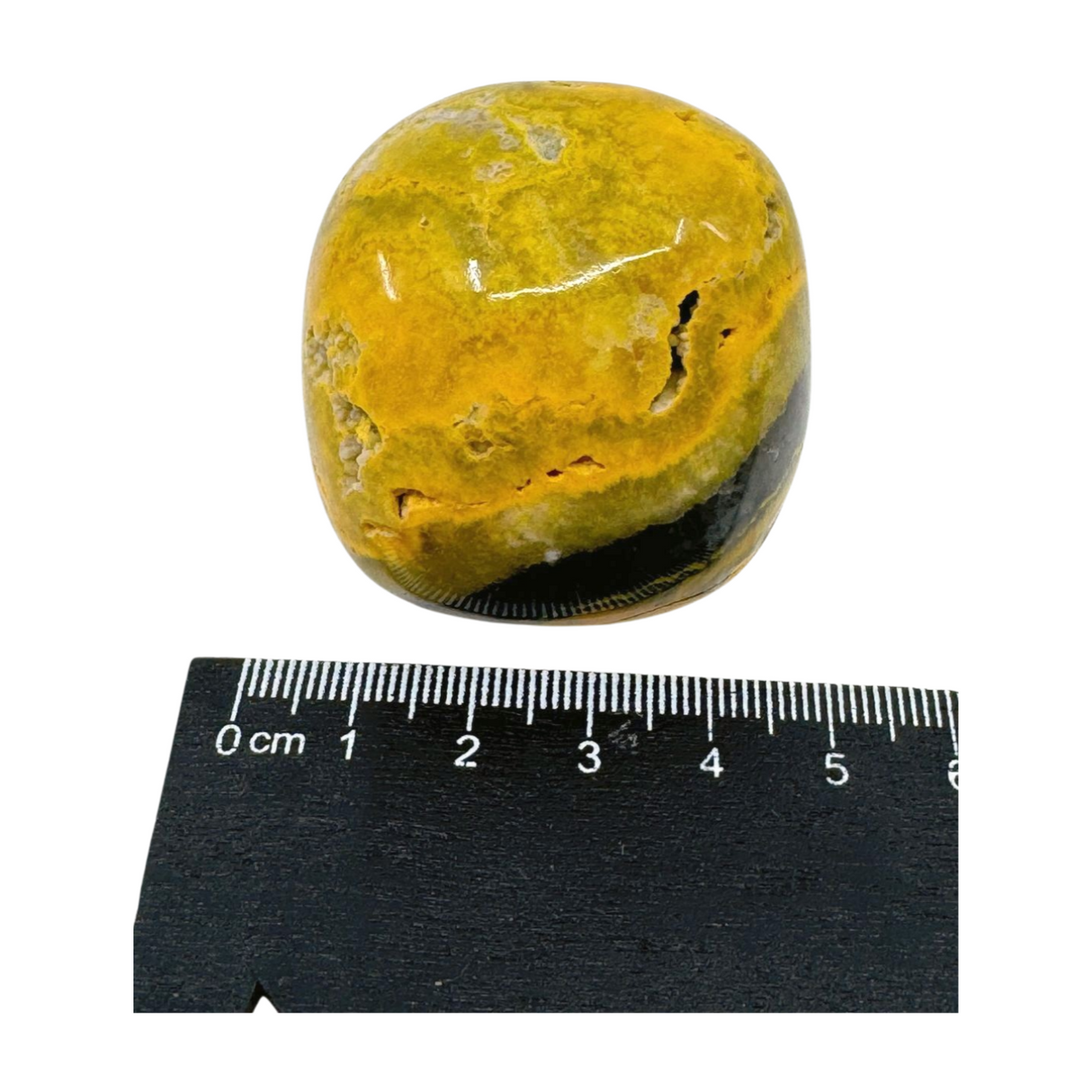 Bumble Bee Jasper Nugget - "I am ready to manifest my greatest dreams and desires."