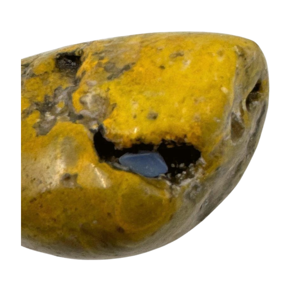 Bumble Bee Jasper Nugget - "I am ready to manifest my greatest dreams and desires."