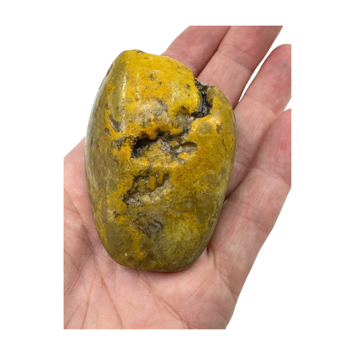 Bumble Bee Jasper Nugget - "I am ready to manifest my greatest dreams and desires."