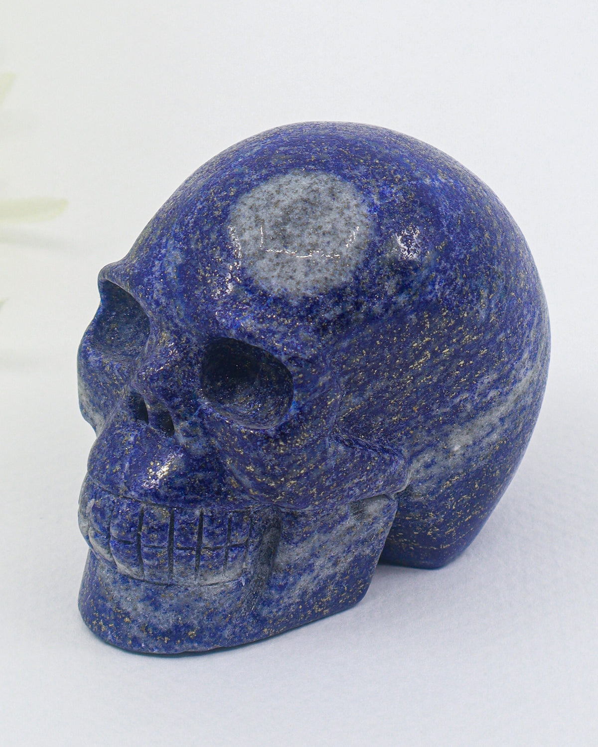 Lapis Lazuli Skull Carving – Wisdom, Truth & Spiritual Insight | 340g