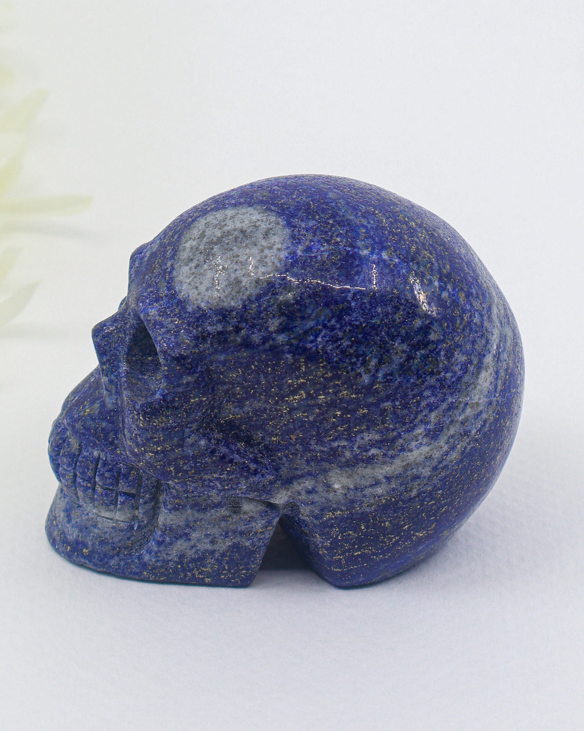 Lapis Lazuli Skull Carving – Wisdom, Truth & Spiritual Insight | 340g