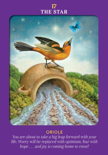 Animal Guides Tarot Cards - Radleigh Valentine