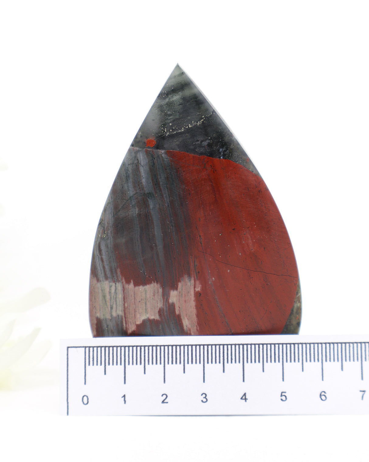 Warrior's Shield African Bloodstone Freeform