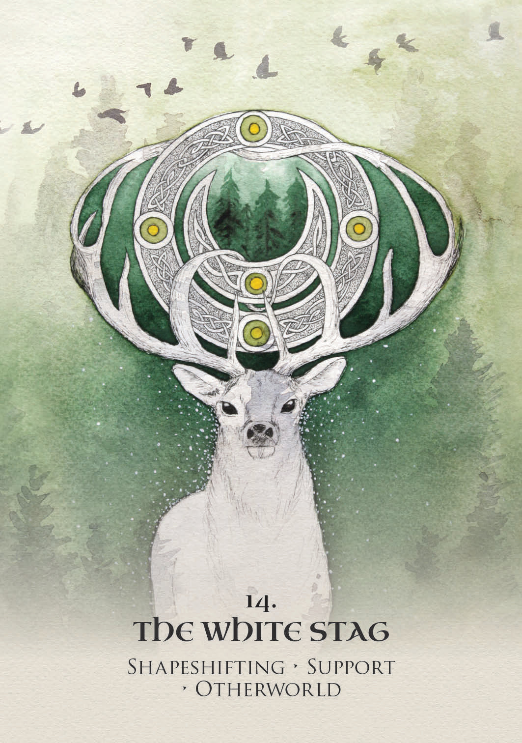 Celtic Spirit Oracle: Ancient wisdom from the Elementals