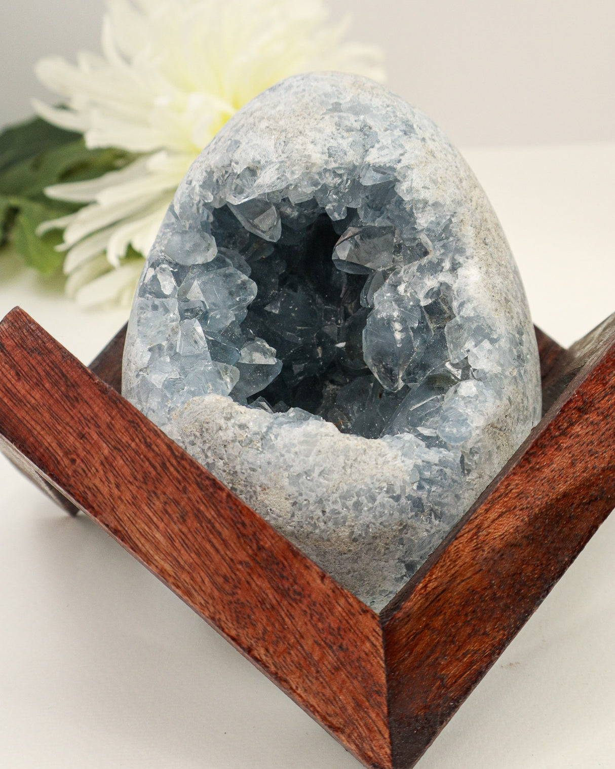 Celestite Geode Egg | 13cm | 2.3kg | Angelic Peace & Calm