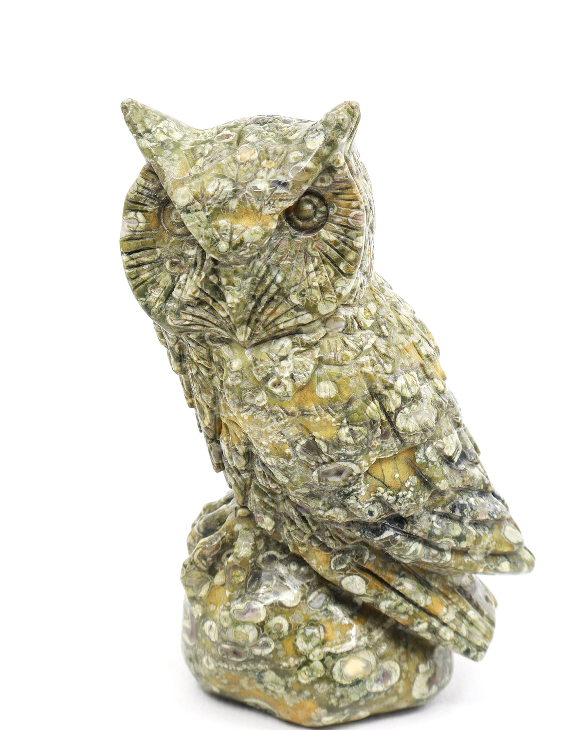 Rainforest Jasper (Rhyolite) Owl Carving 998g – Ancient Forest Guardian | Wisdom, Protection & Grounding
