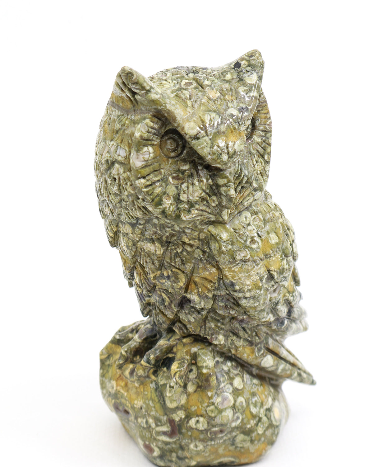 Rainforest Jasper (Rhyolite) Owl Carving 998g – Ancient Forest Guardian | Wisdom, Protection & Grounding