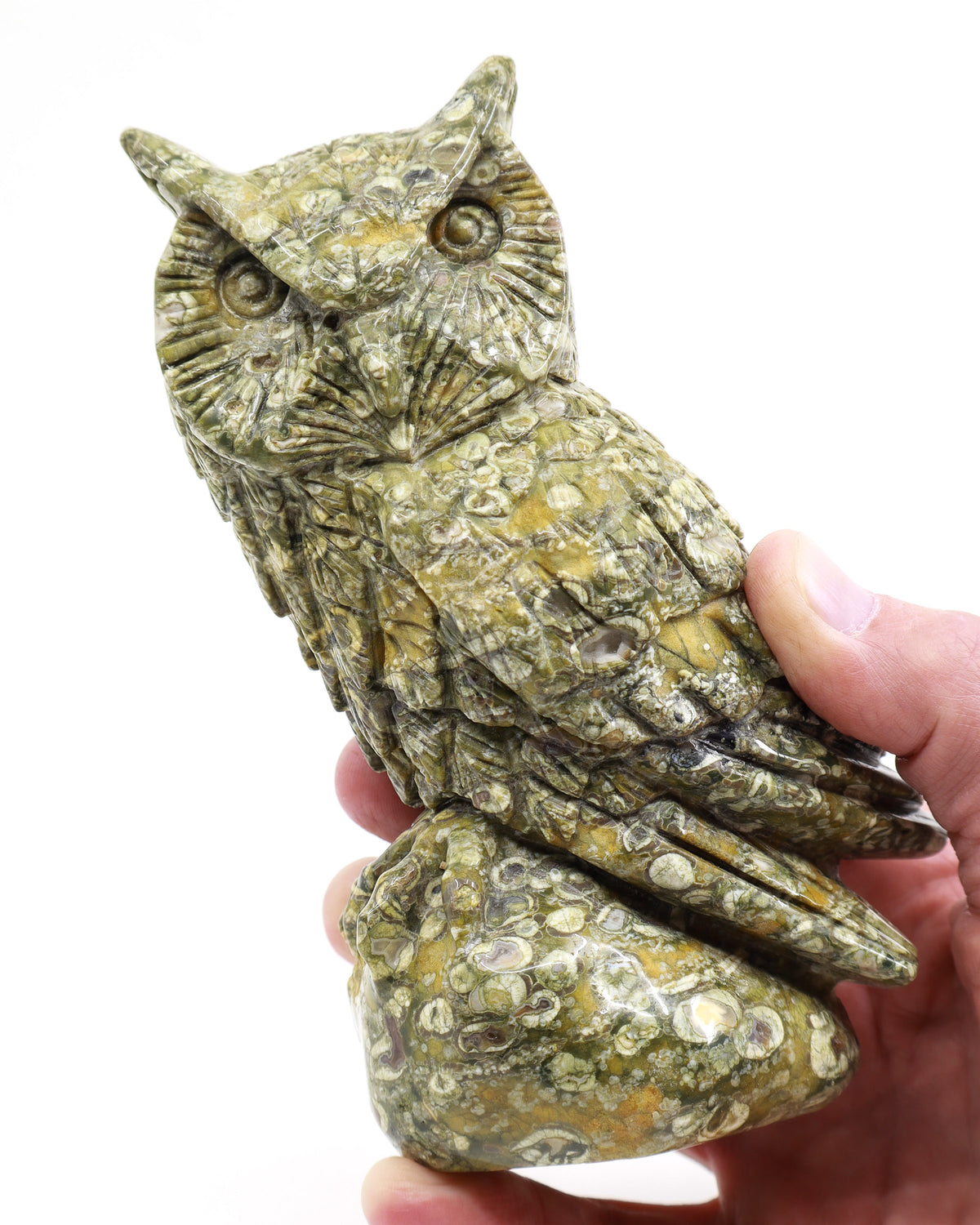Rainforest Jasper (Rhyolite) Owl Carving 998g – Ancient Forest Guardian | Wisdom, Protection & Grounding