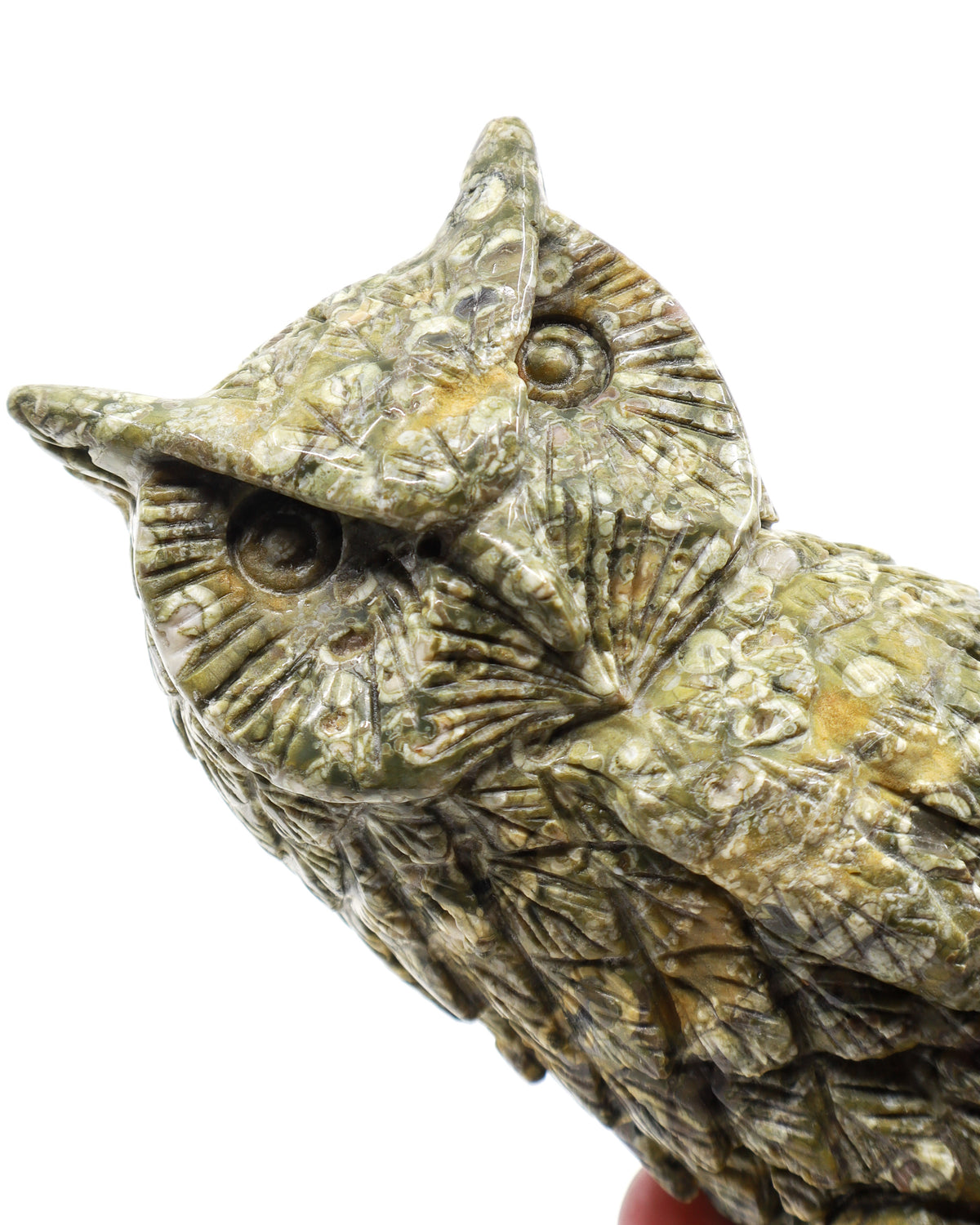 Rainforest Jasper (Rhyolite) Owl Carving 998g – Ancient Forest Guardian | Wisdom, Protection & Grounding