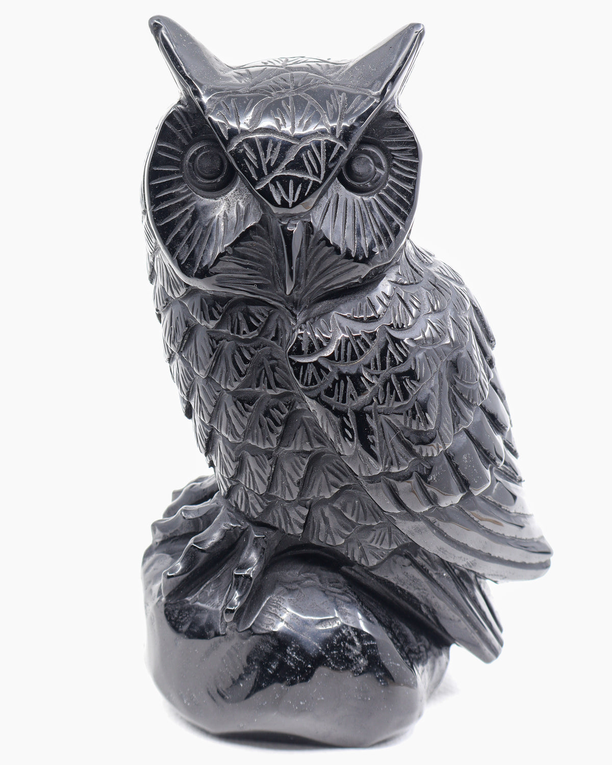 Close-up of Black Obsidian Owl crystal carving showing intricately engraved facial feathers, expressive circular eyes and polished black stone.