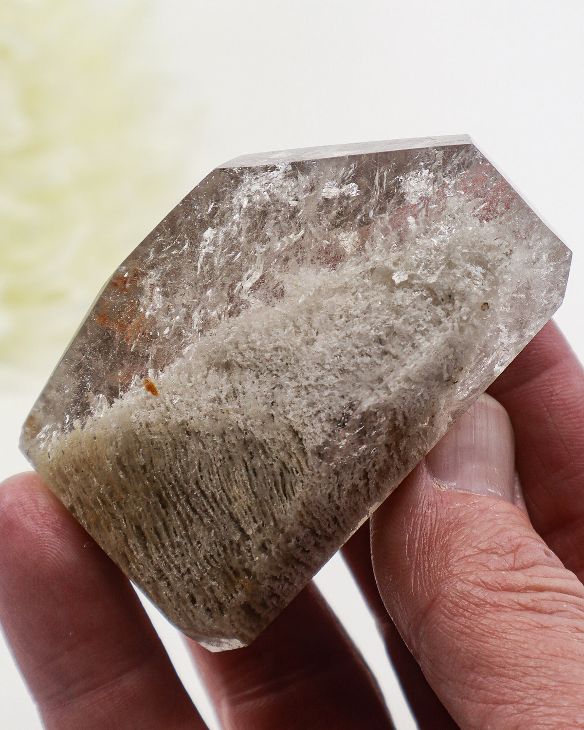Garden Quartz Crystal 125g – The Ancient Forest | Grounding & Spiritual Growth